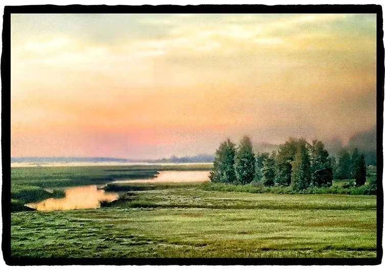 Close to Home: Marsh Dawn Archival pigment print on vellum with white gold