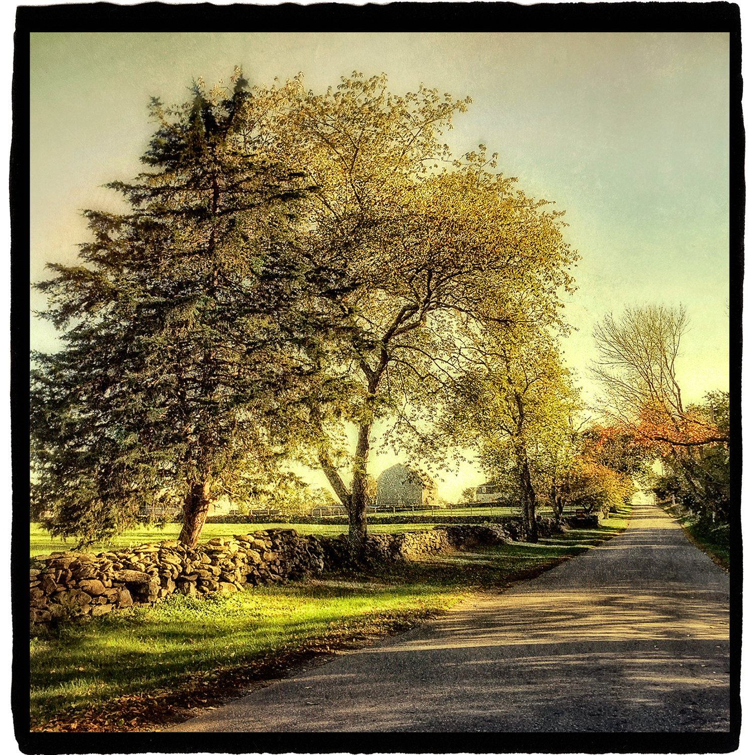 Back Roads