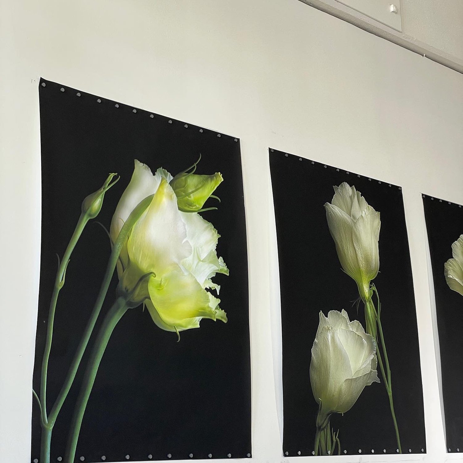 Luminous Lisianthus - Botanical Industrial Chic