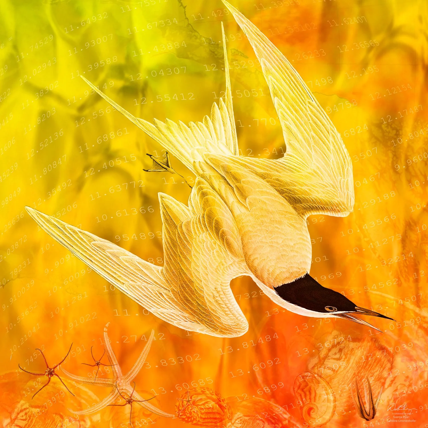 Yellow Tern Layers_Sig_16x16.jpeg