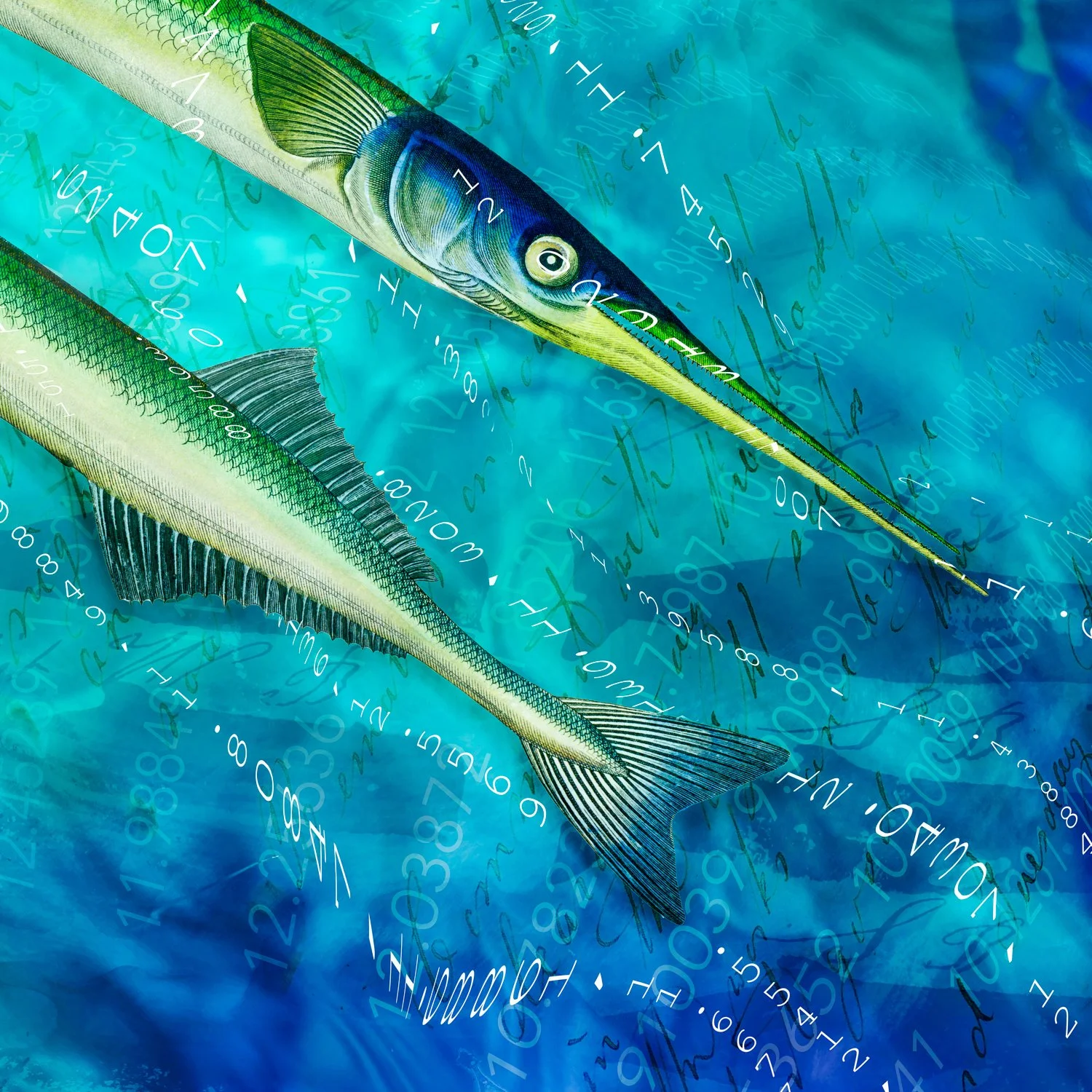 gar blue green v3 blue-PRT.jpeg