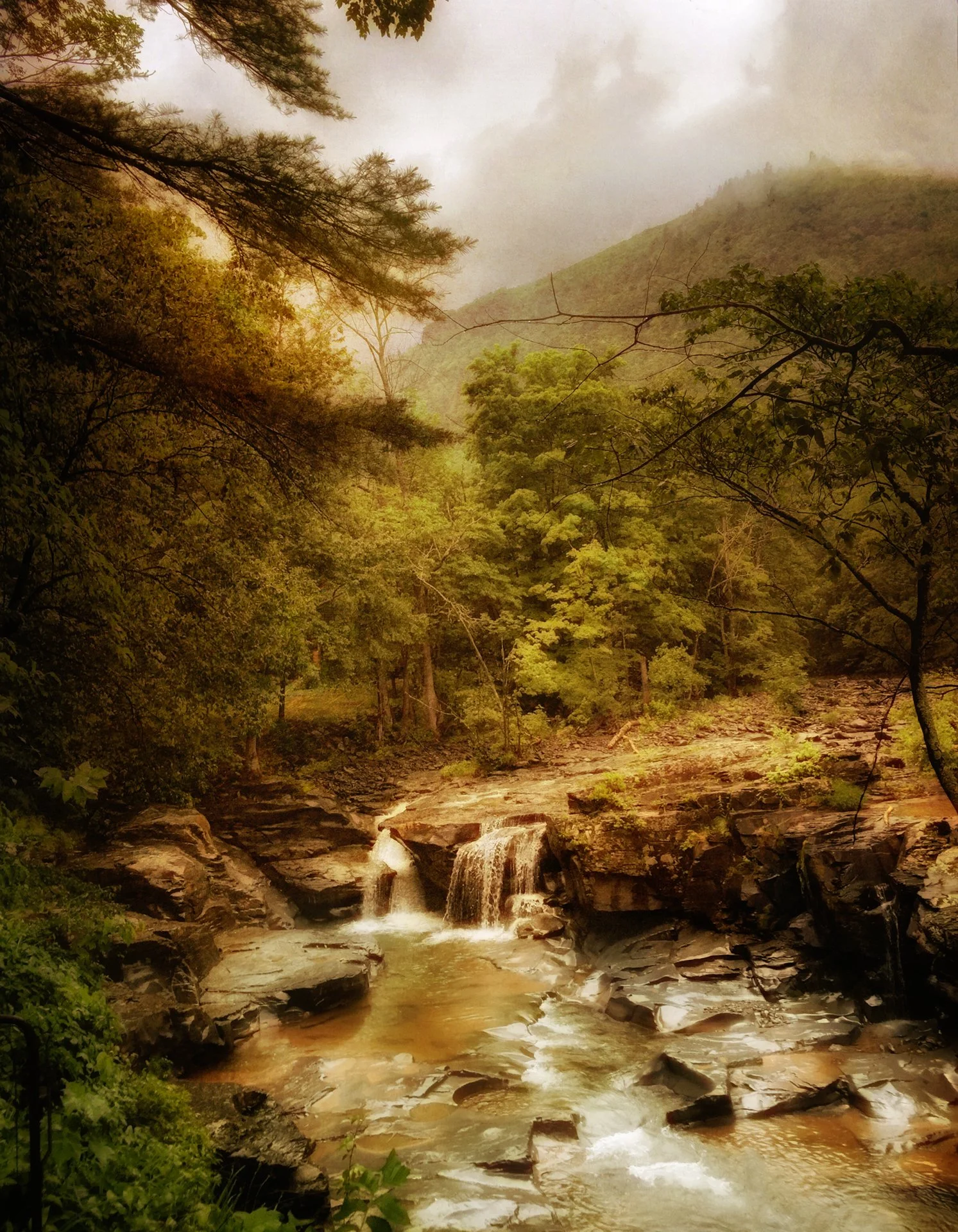 Deb_Katerskill Creek-1.jpeg