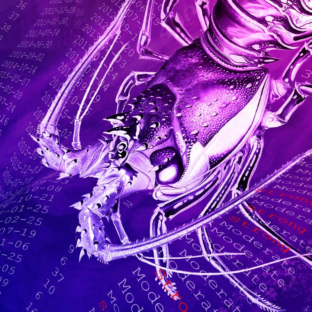 Marine Heatwave, Lobster