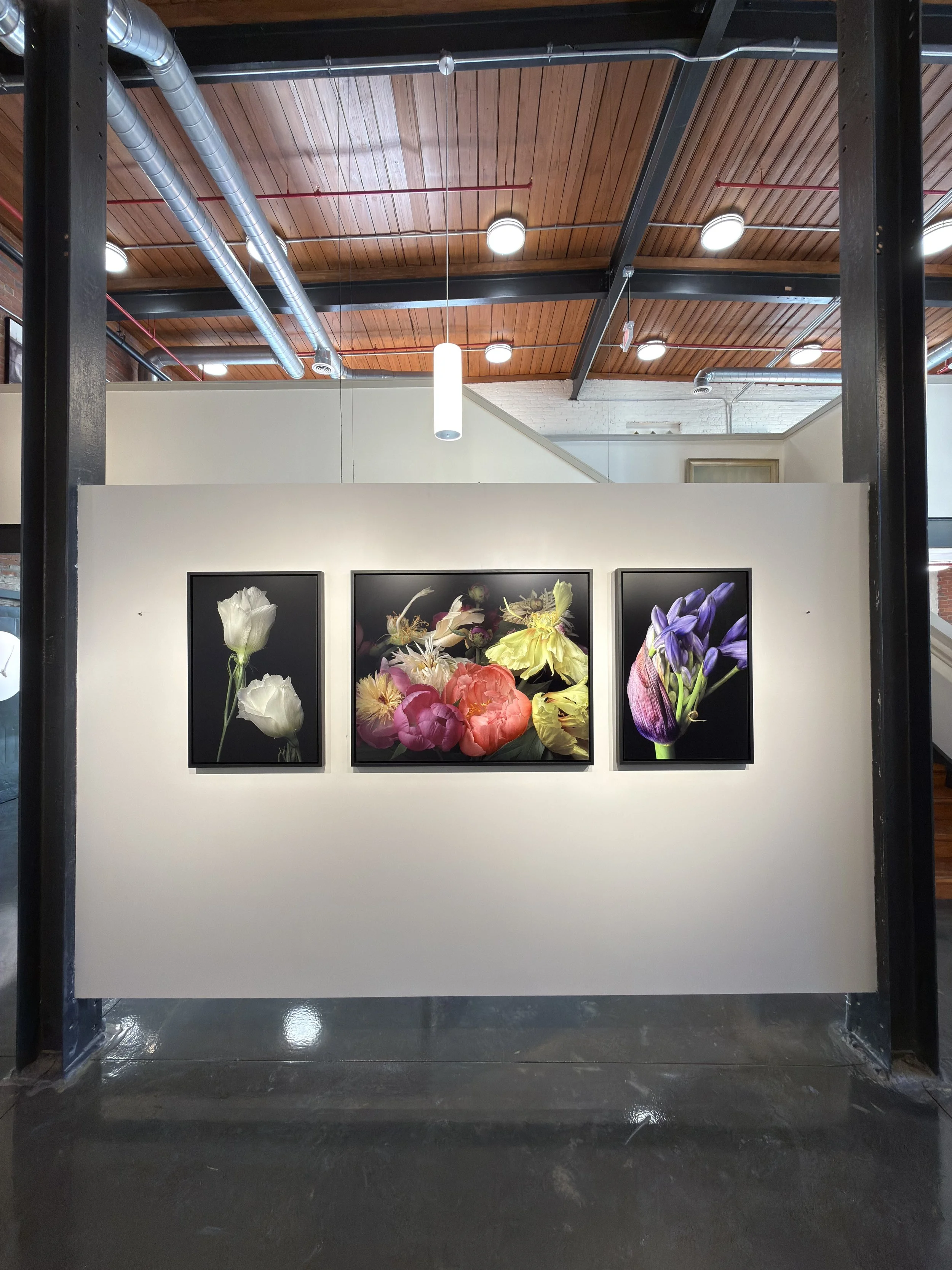 Women Behind the Lens 2026   YJ Contemporary Gallery