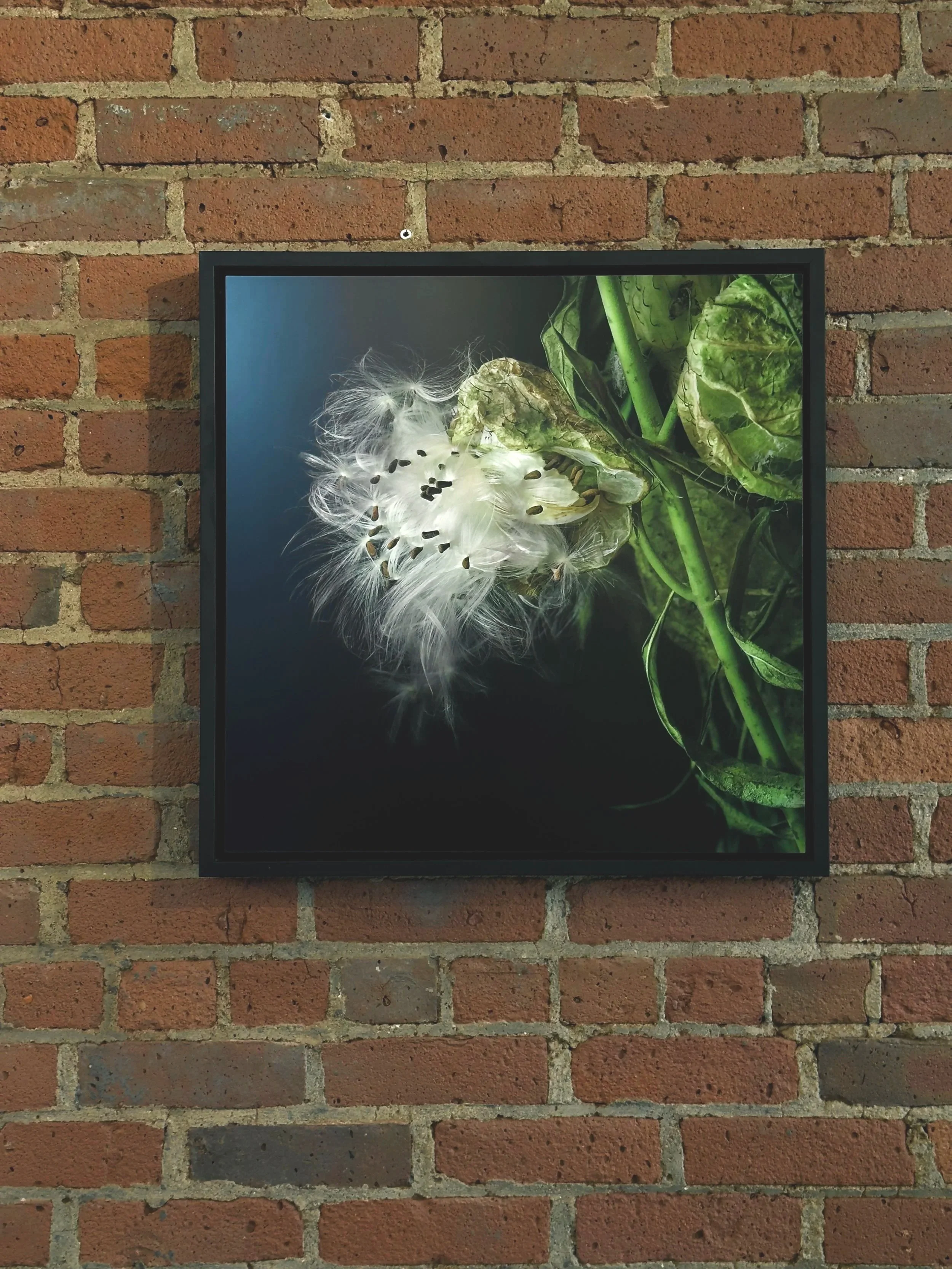 Women Behind the Lens  YJ Contemporary Gallery