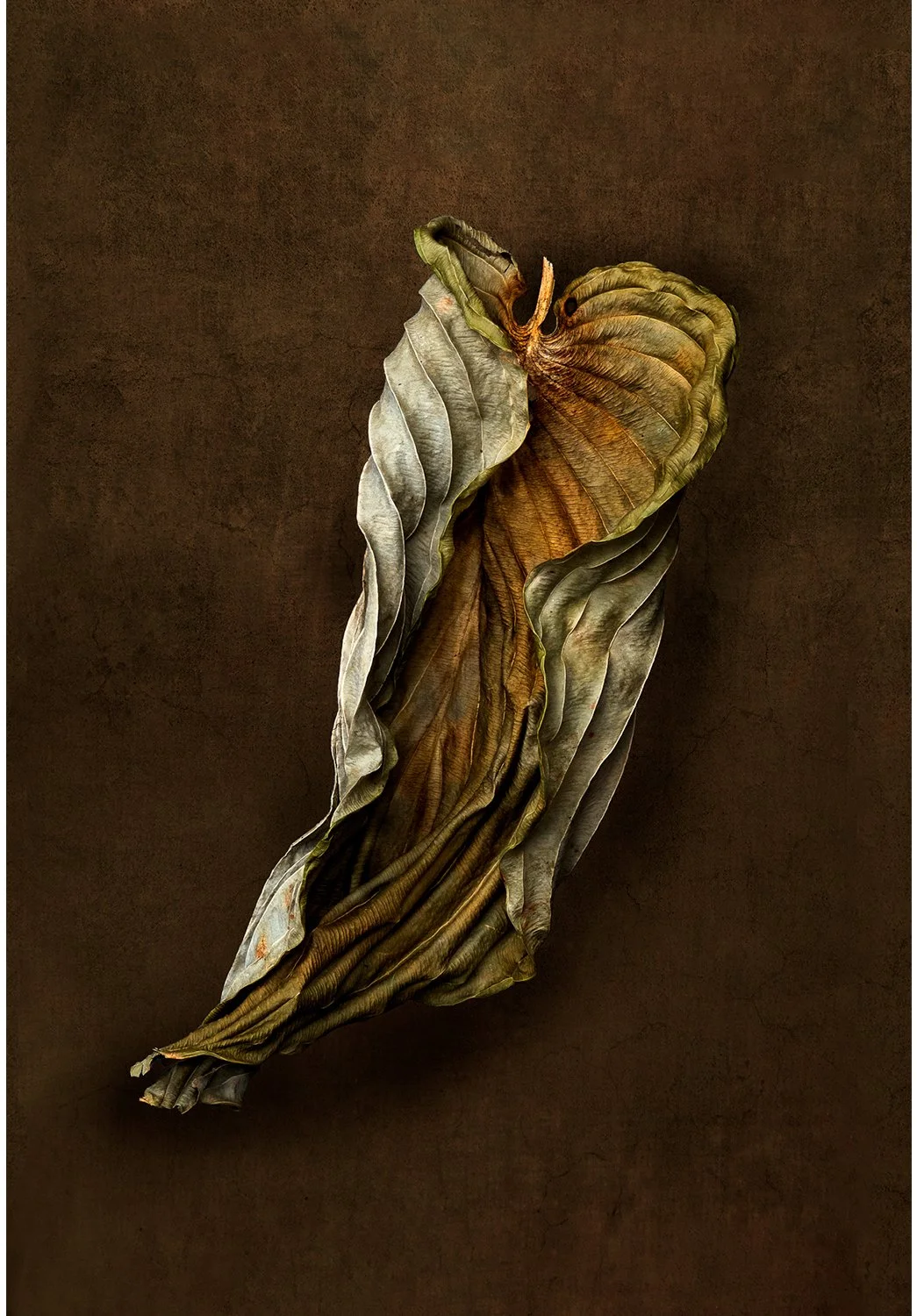 I Hold You In My Heart