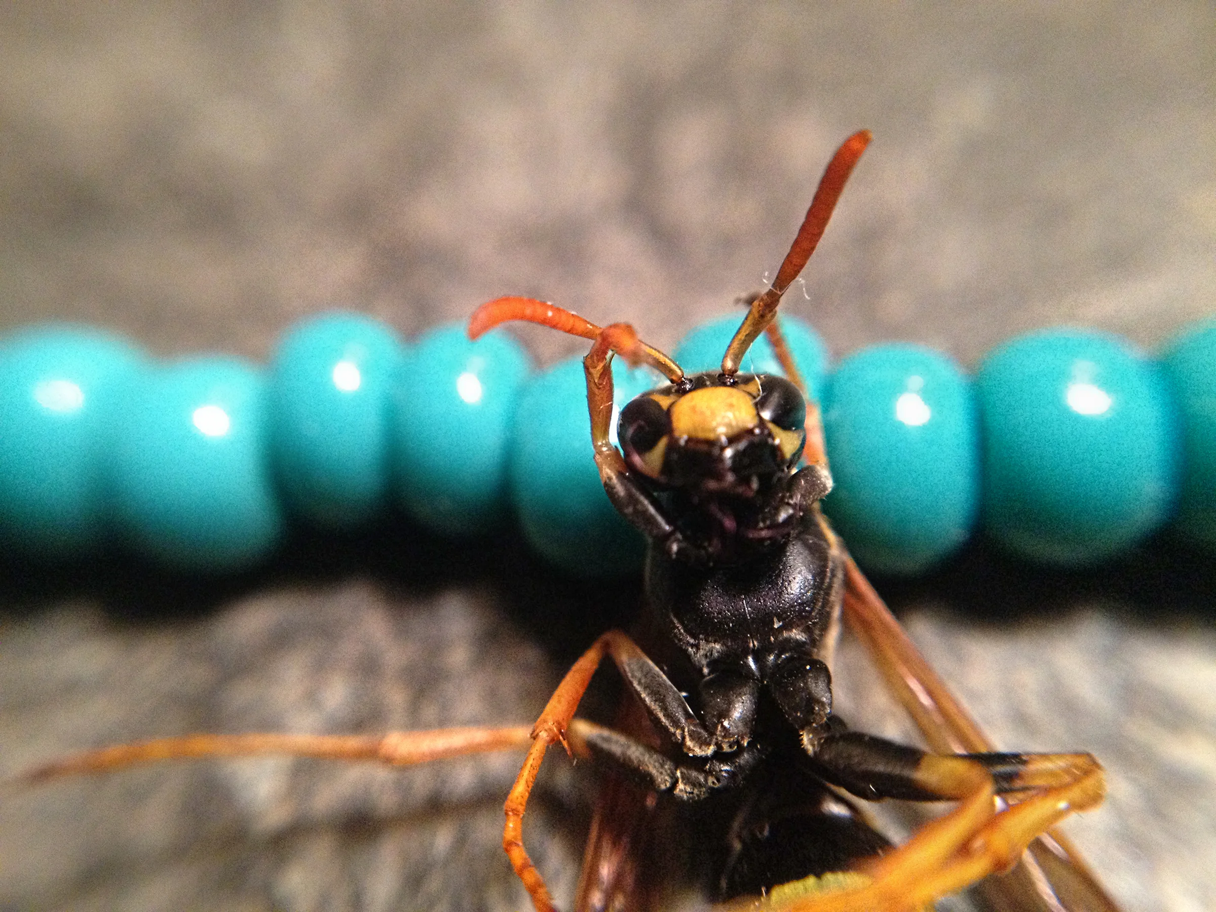 blue bead homage.JPG