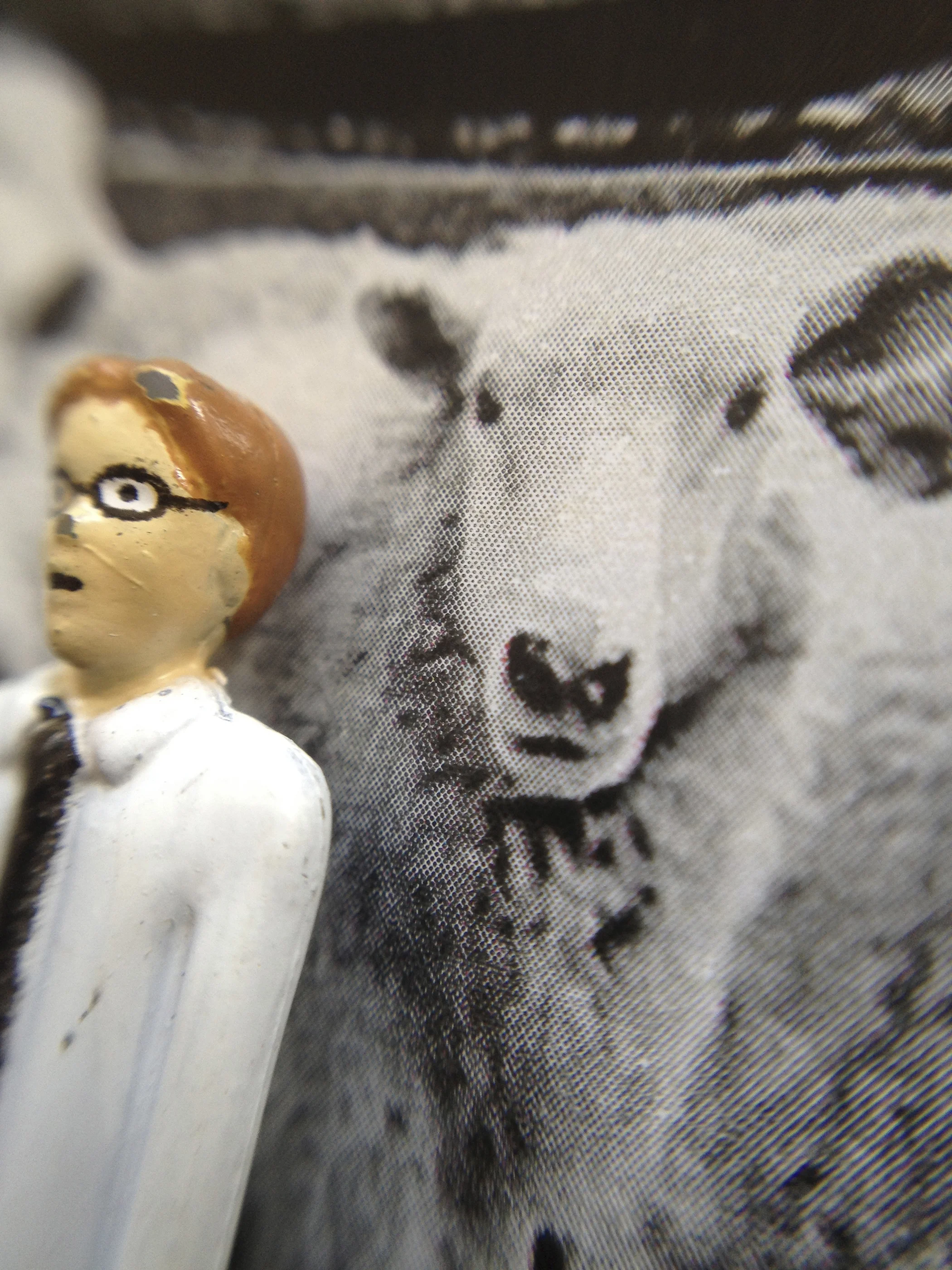 Ninny and sheep.jpg