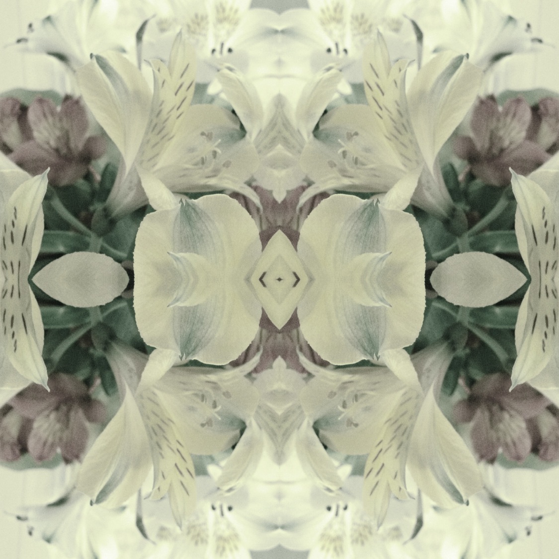 28-Blink-Angel in the Mirrorgram.JPG