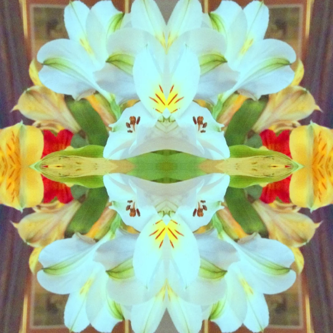 30-Blink-Floral Fish.JPG