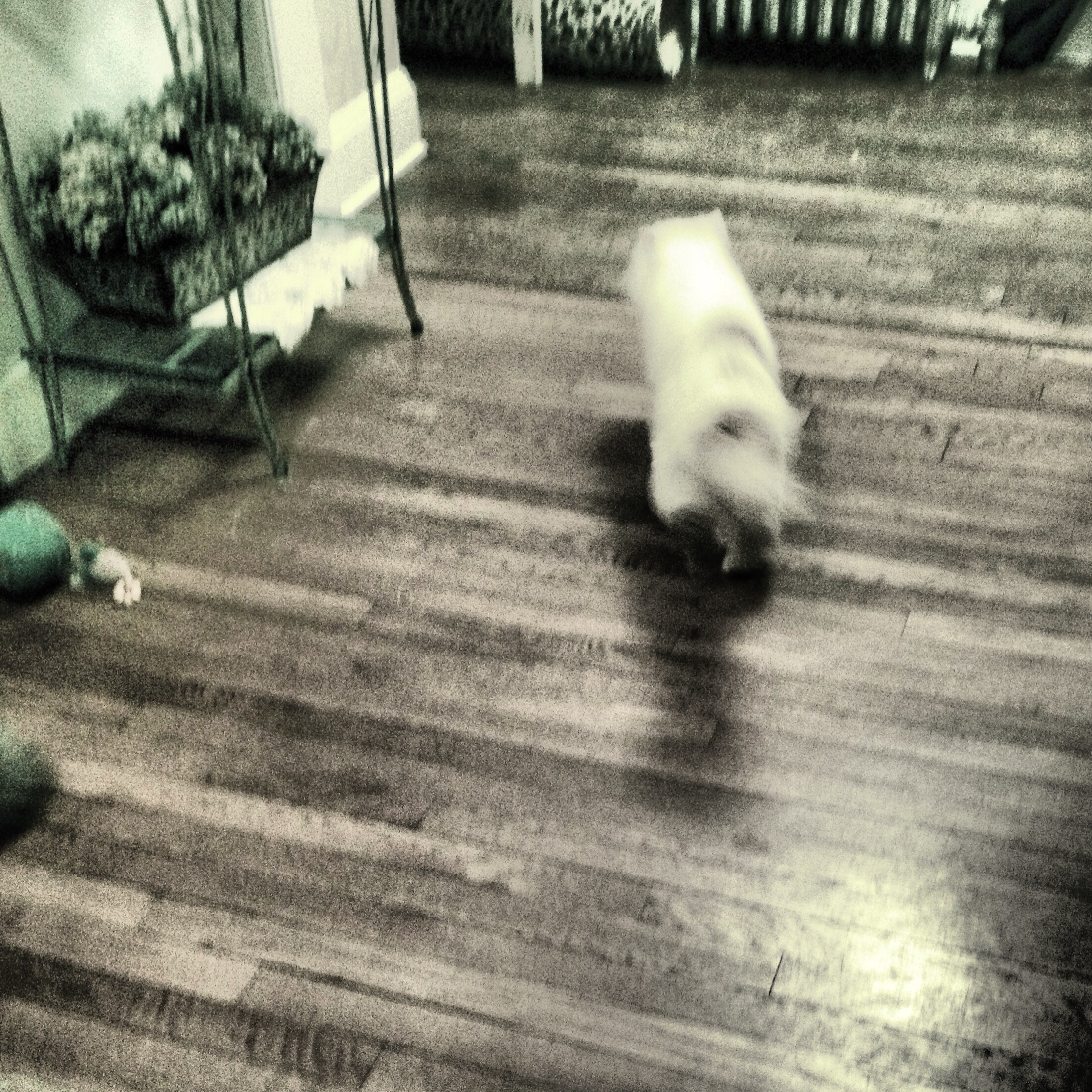 27-Blink-Harsh Living room Landscape.JPG