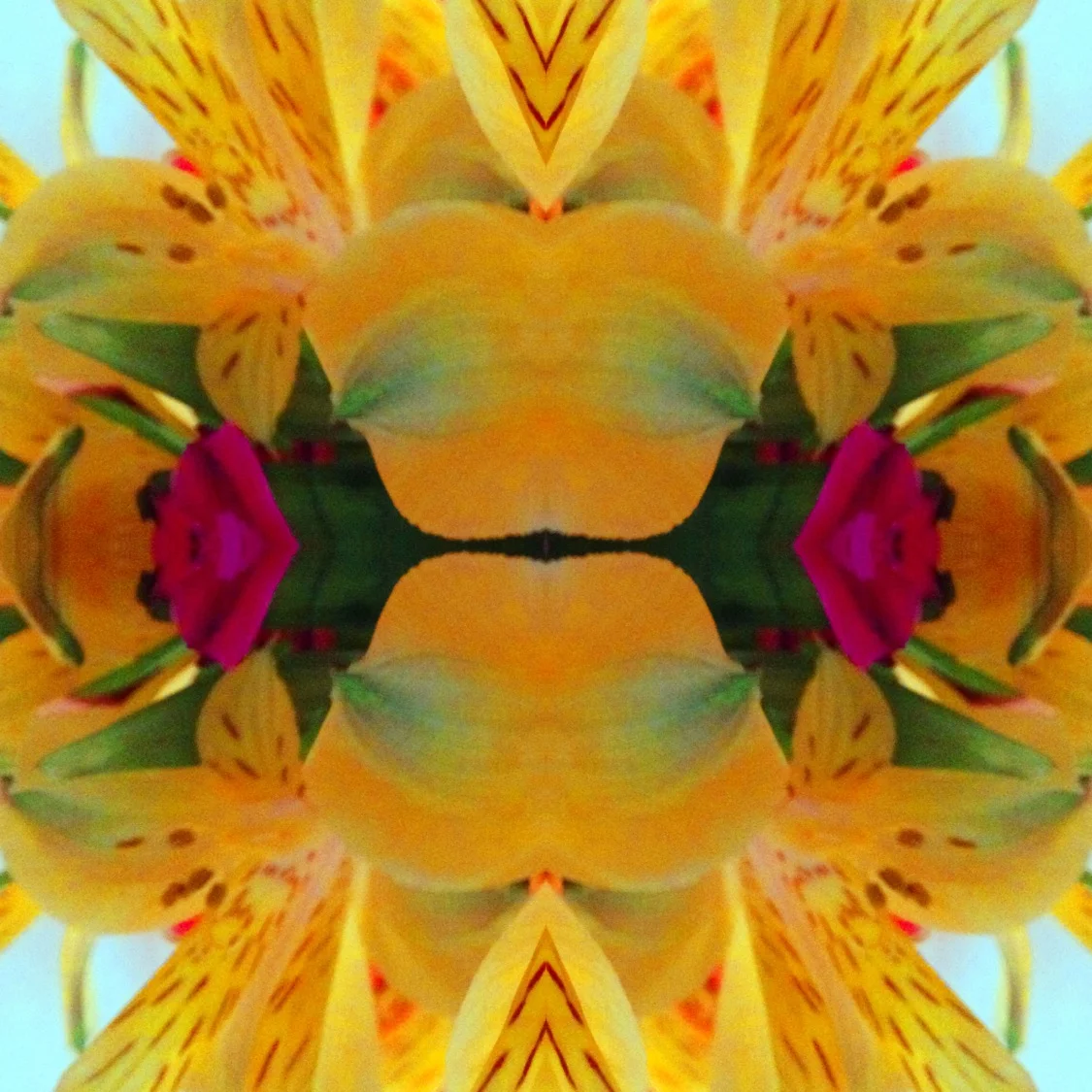 37-Blink-Lilly Reconstruction.JPG