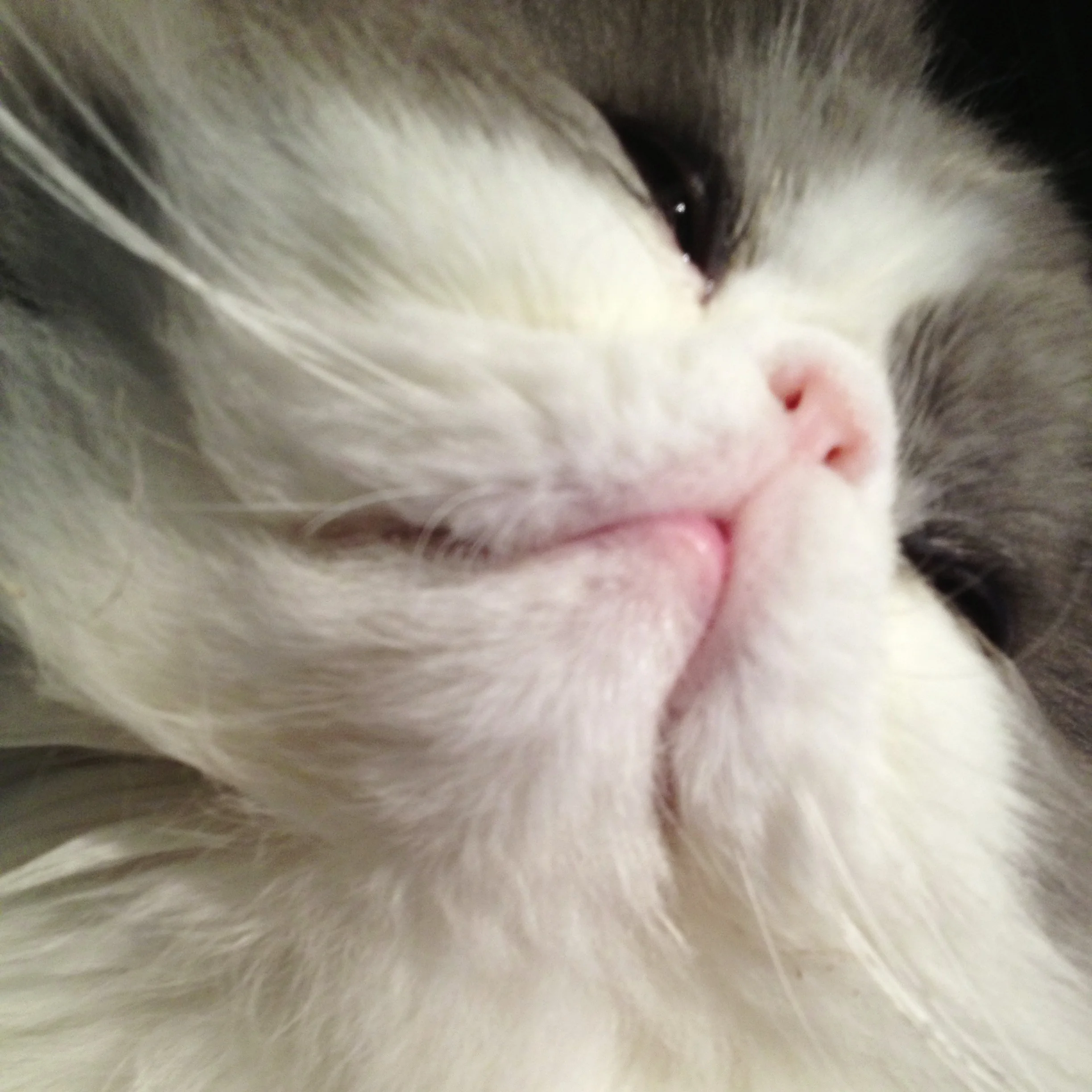 49-Blink-The Power of Heaven.JPG