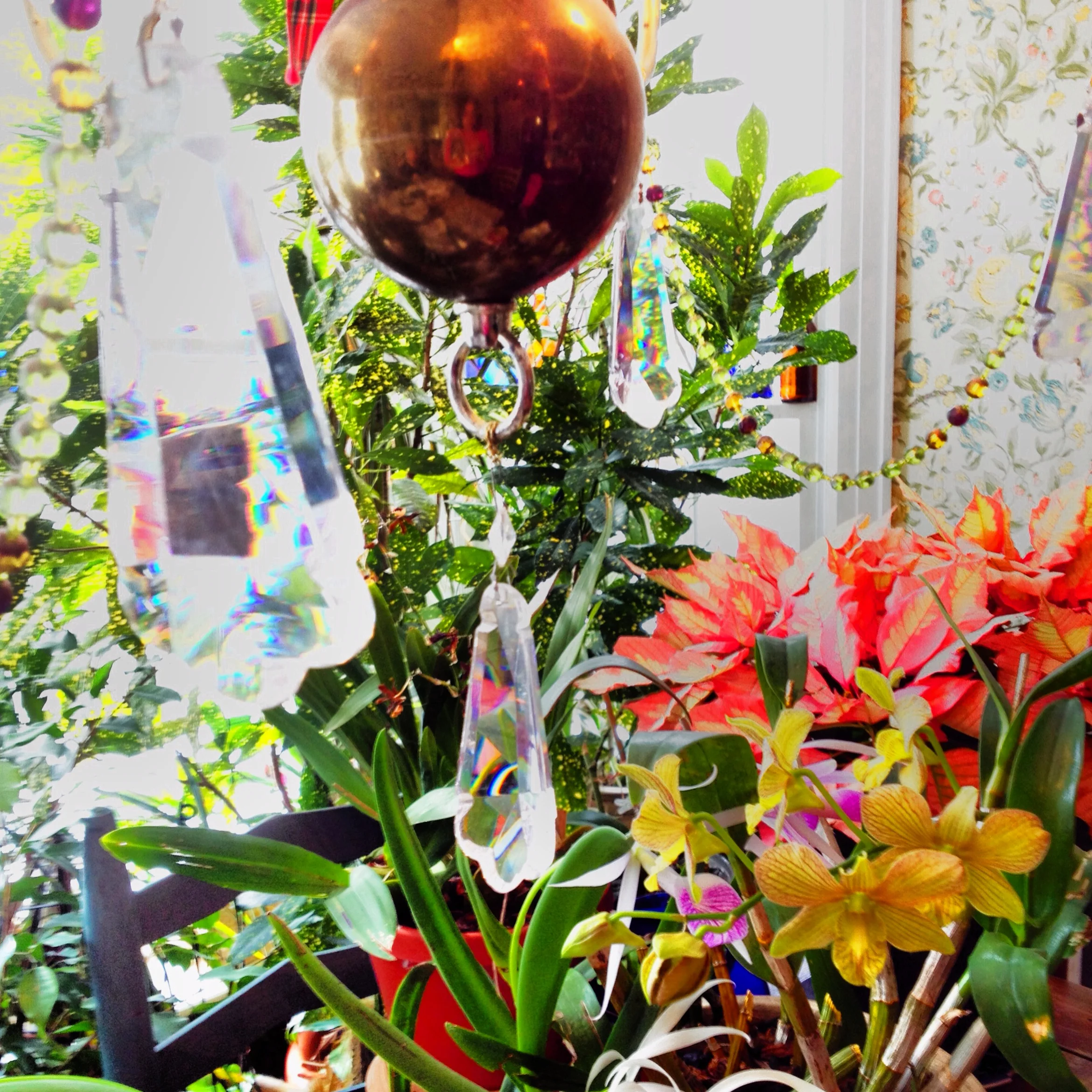 51-Blink-White Outside_Rainbow Inside.JPG