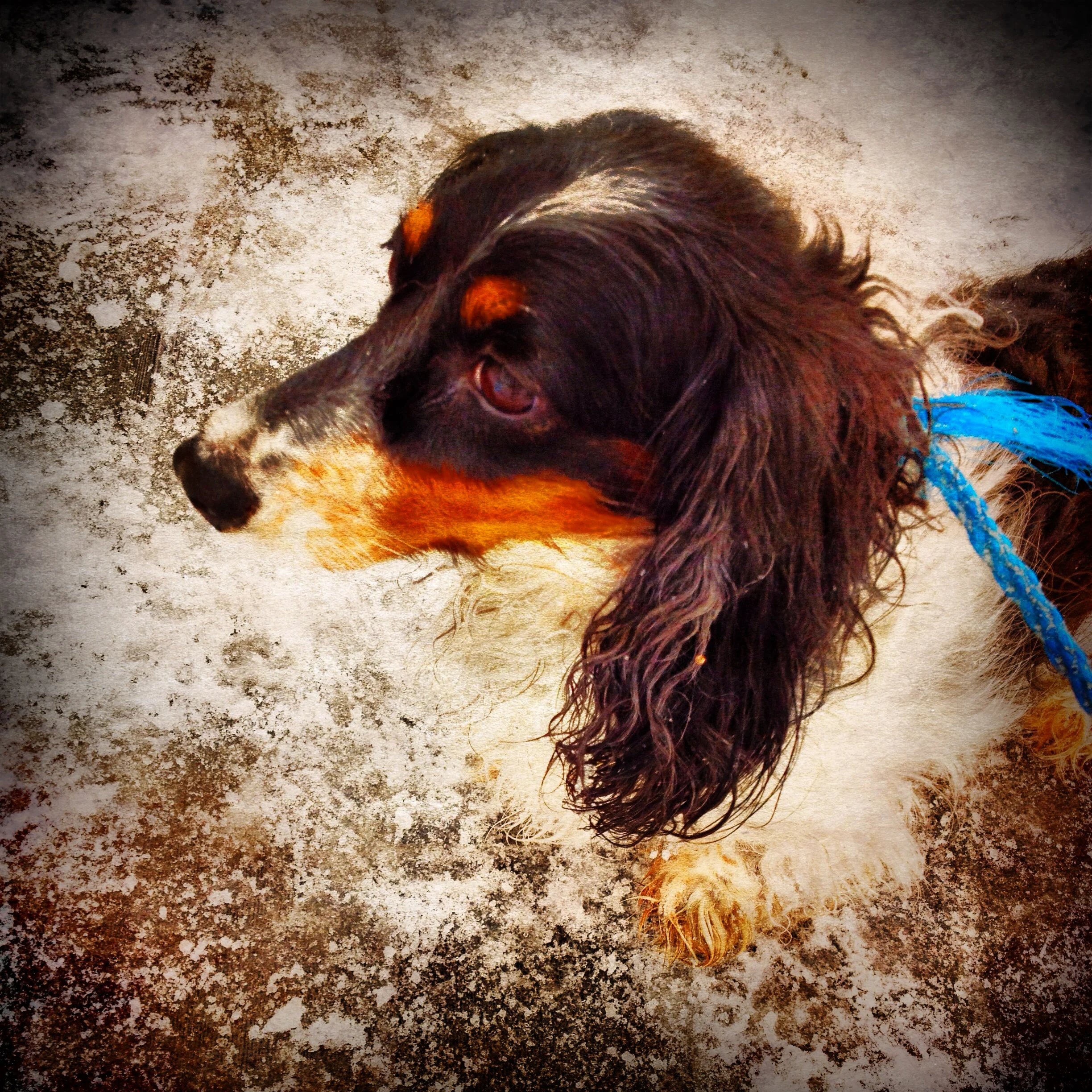 52-Blink-Ave Glows with Snow.JPG