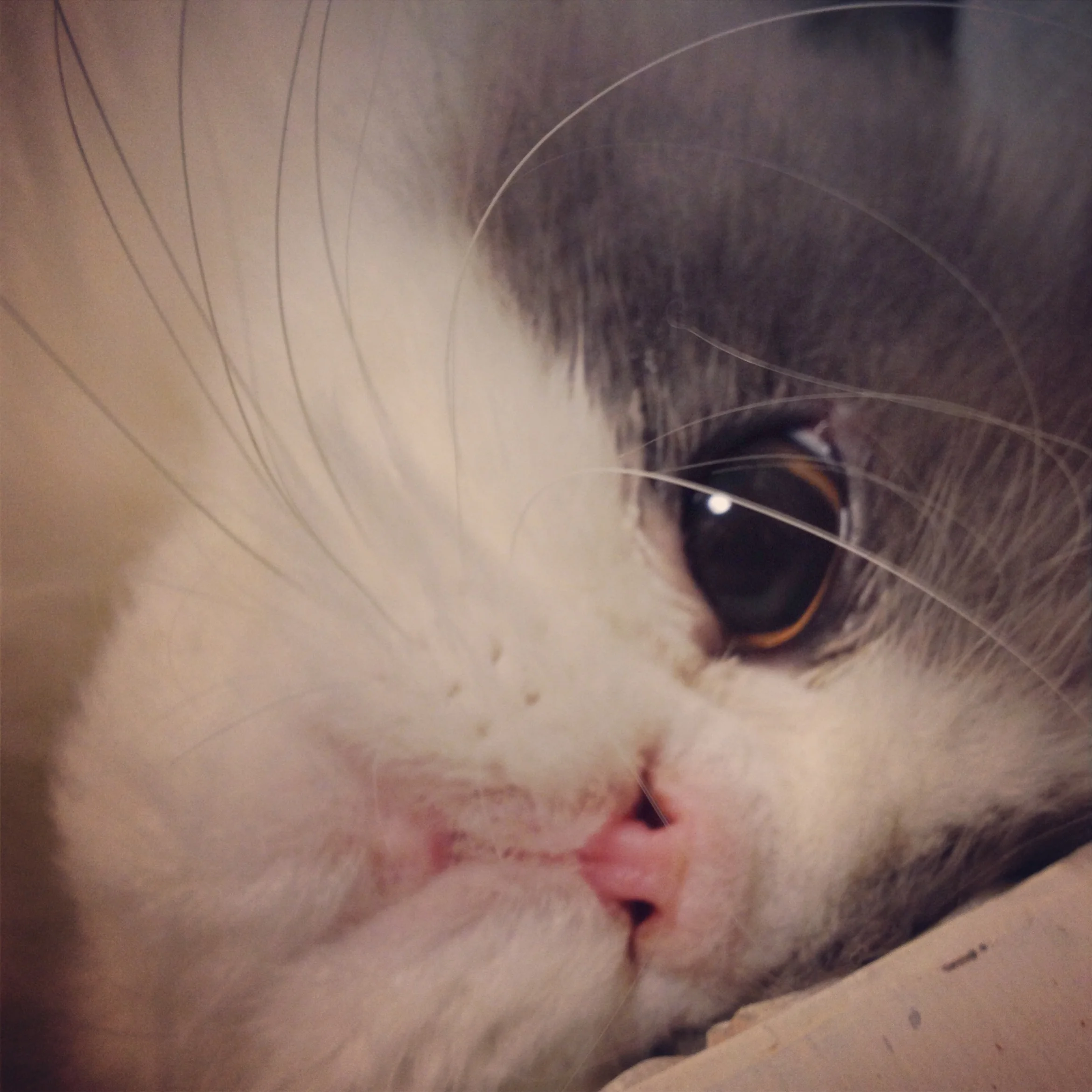 54-Blink-Shower Scene.JPG