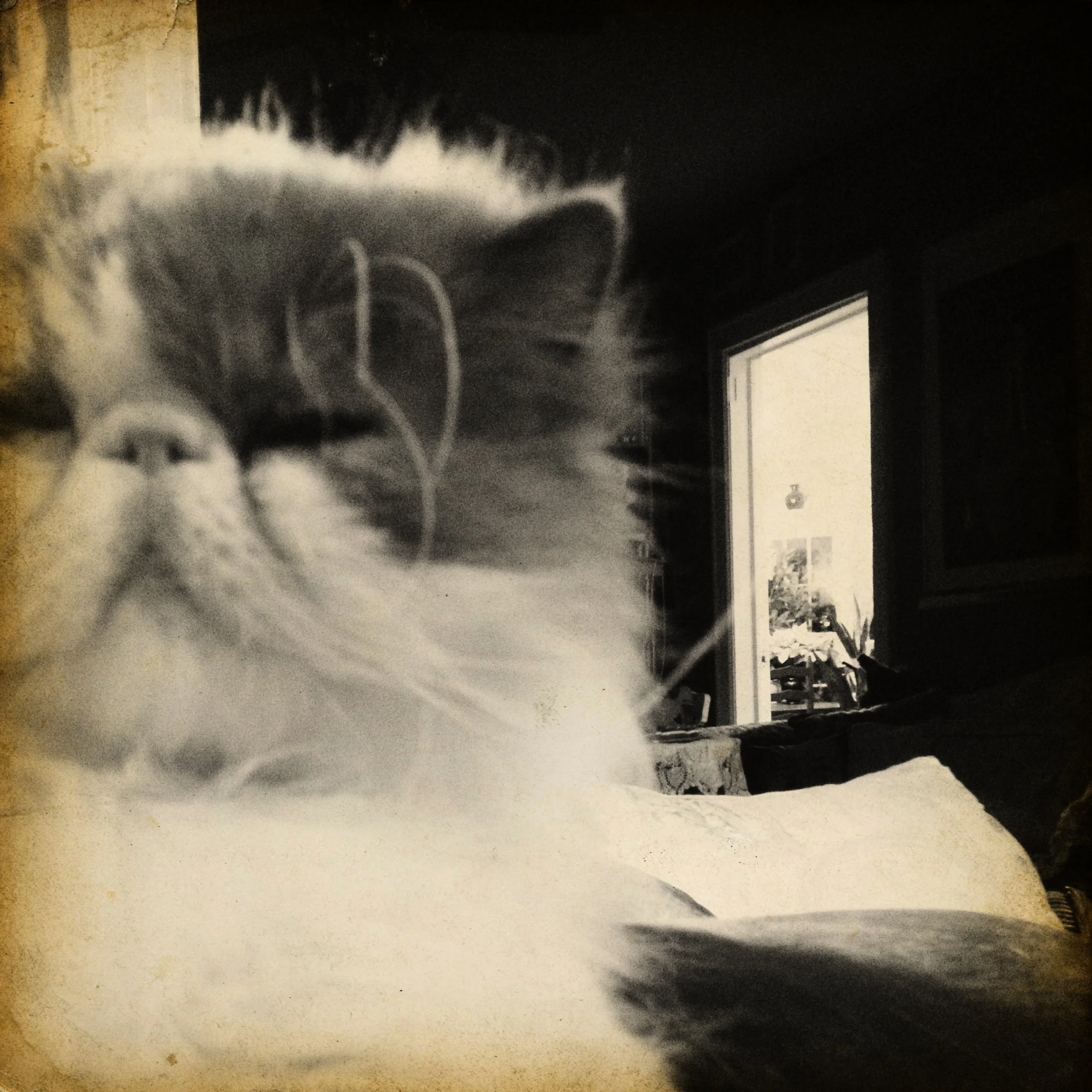 60-Blink-The Doorway.JPG