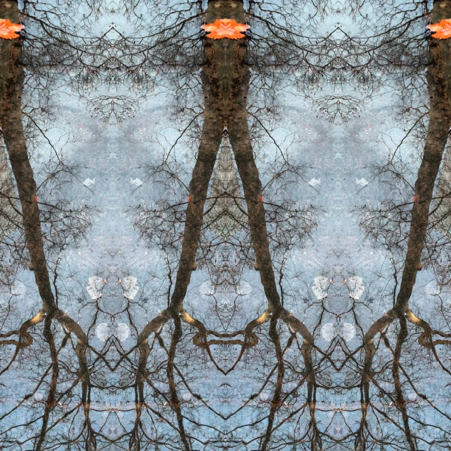 68-Blink-We Have Come.JPG