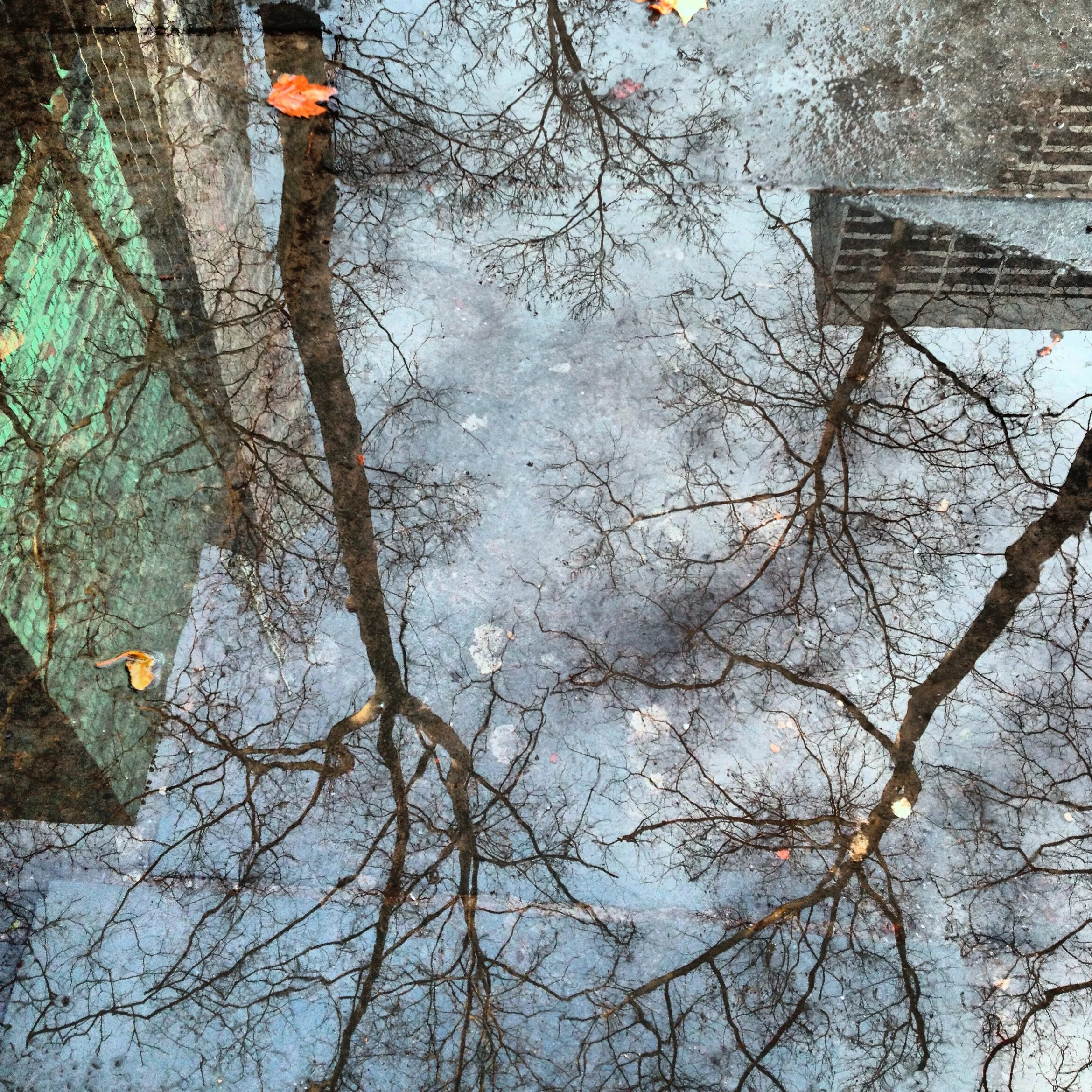 69-Blink-More Puddle.JPG