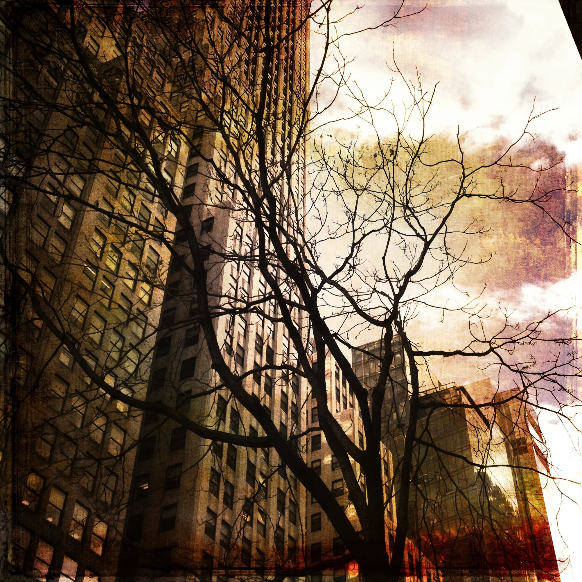 77-Blink-31 Days.JPG