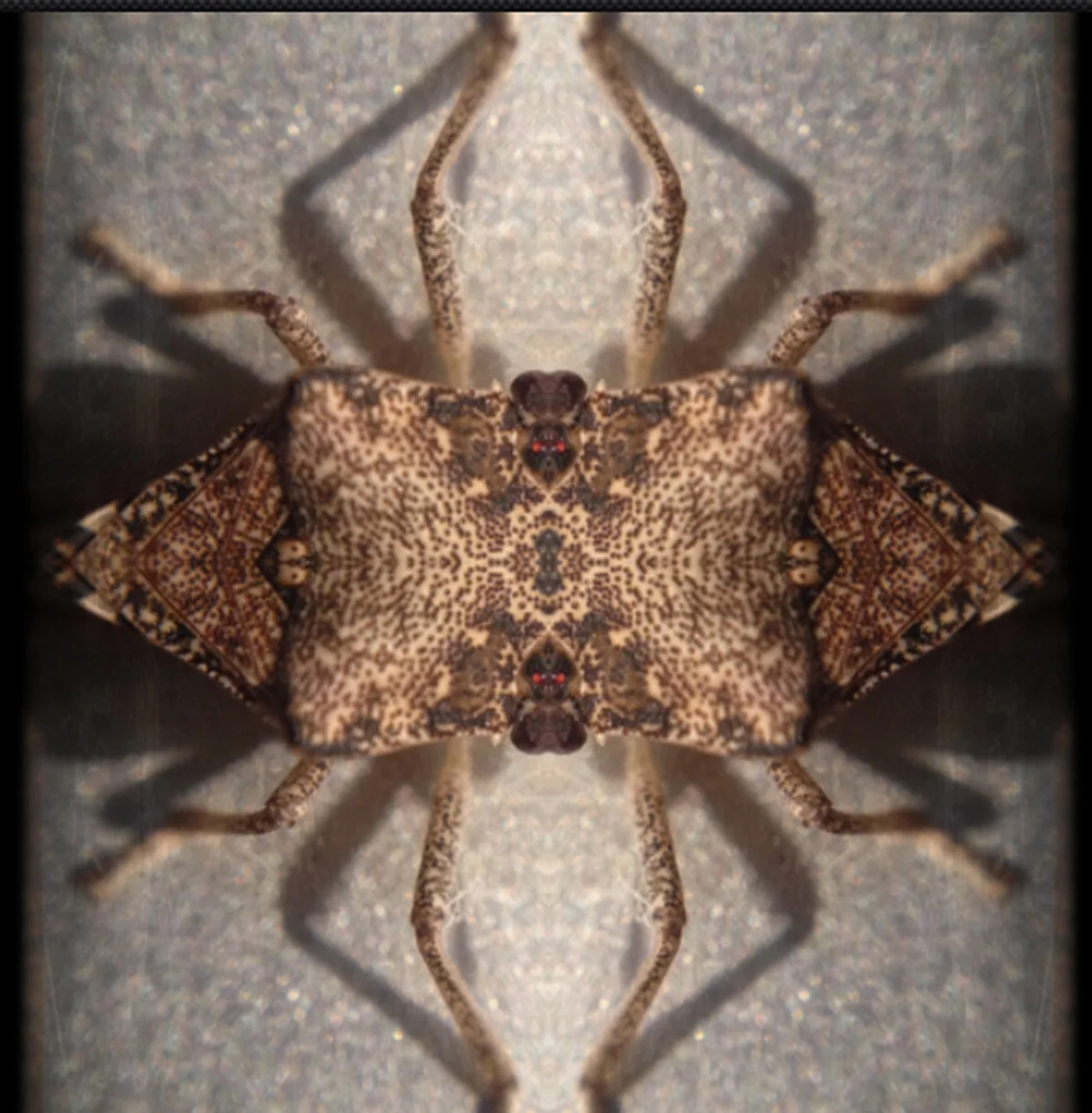 86-Blink-Geometry.jpg