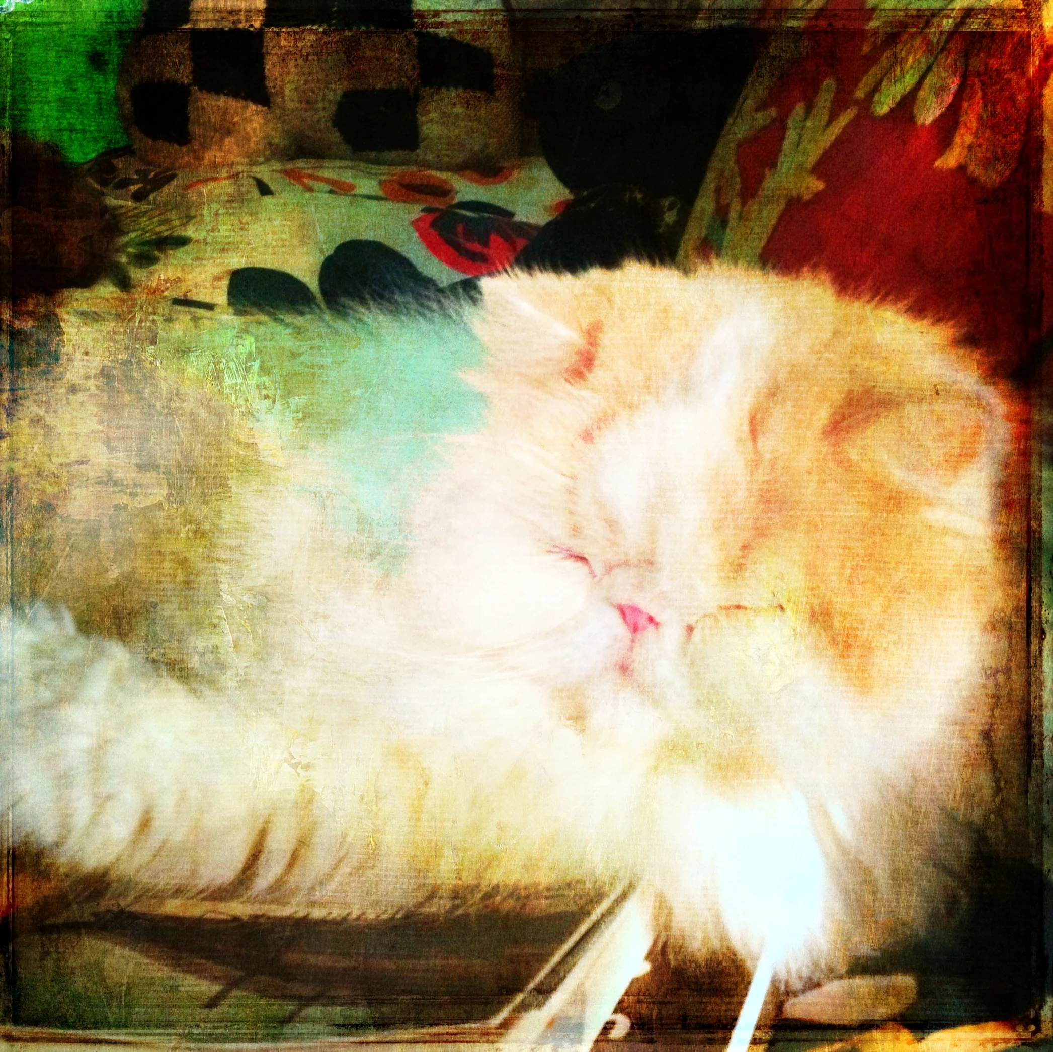 88-Blink-Fat Cat Candy.JPG