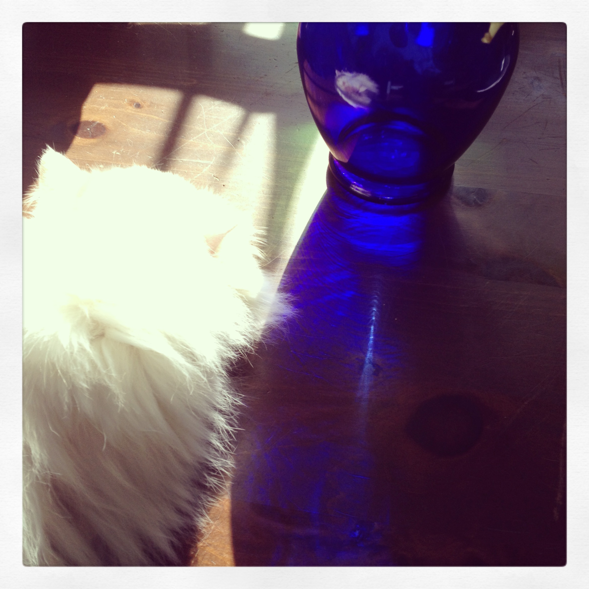 109-Blink-Blue Vase.JPG