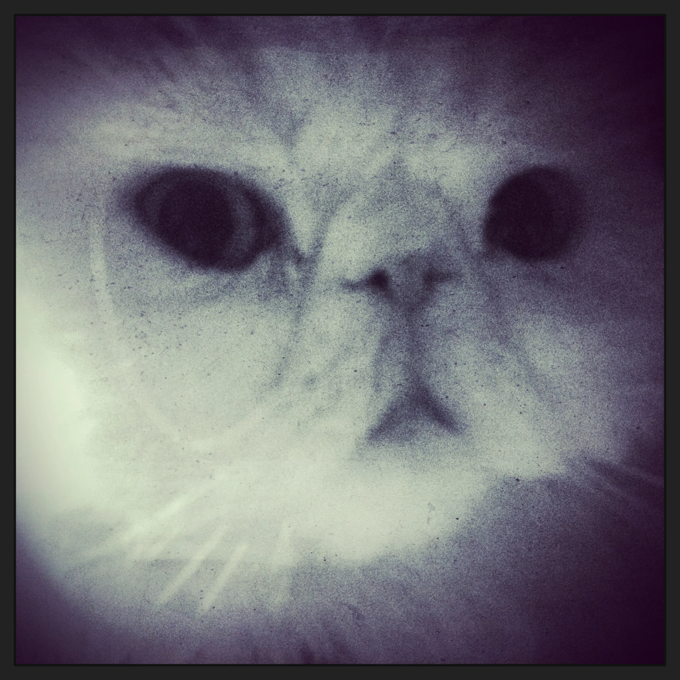 110-Blink-New Years Glow.JPG