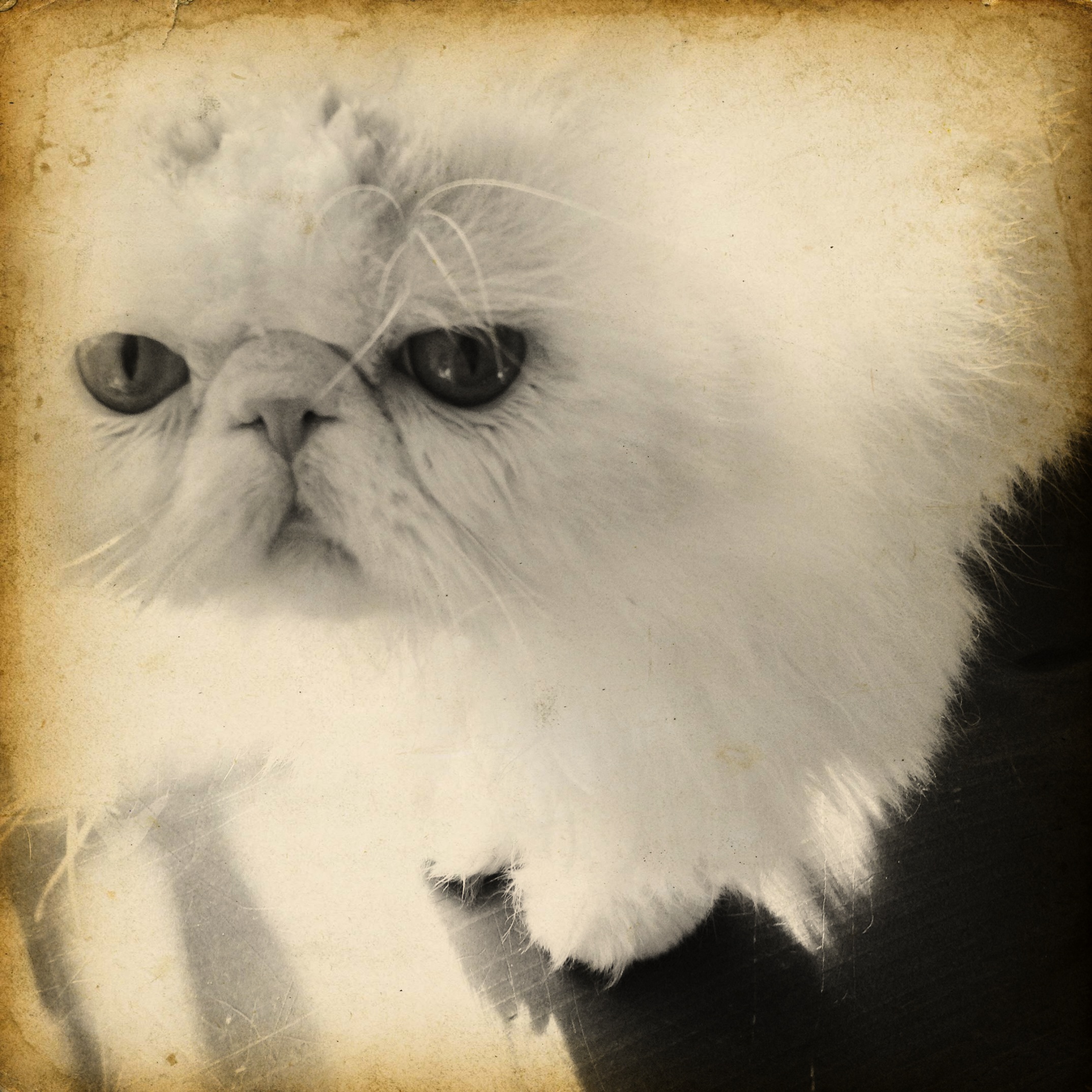 110-Blink-Rikki Caught.JPG