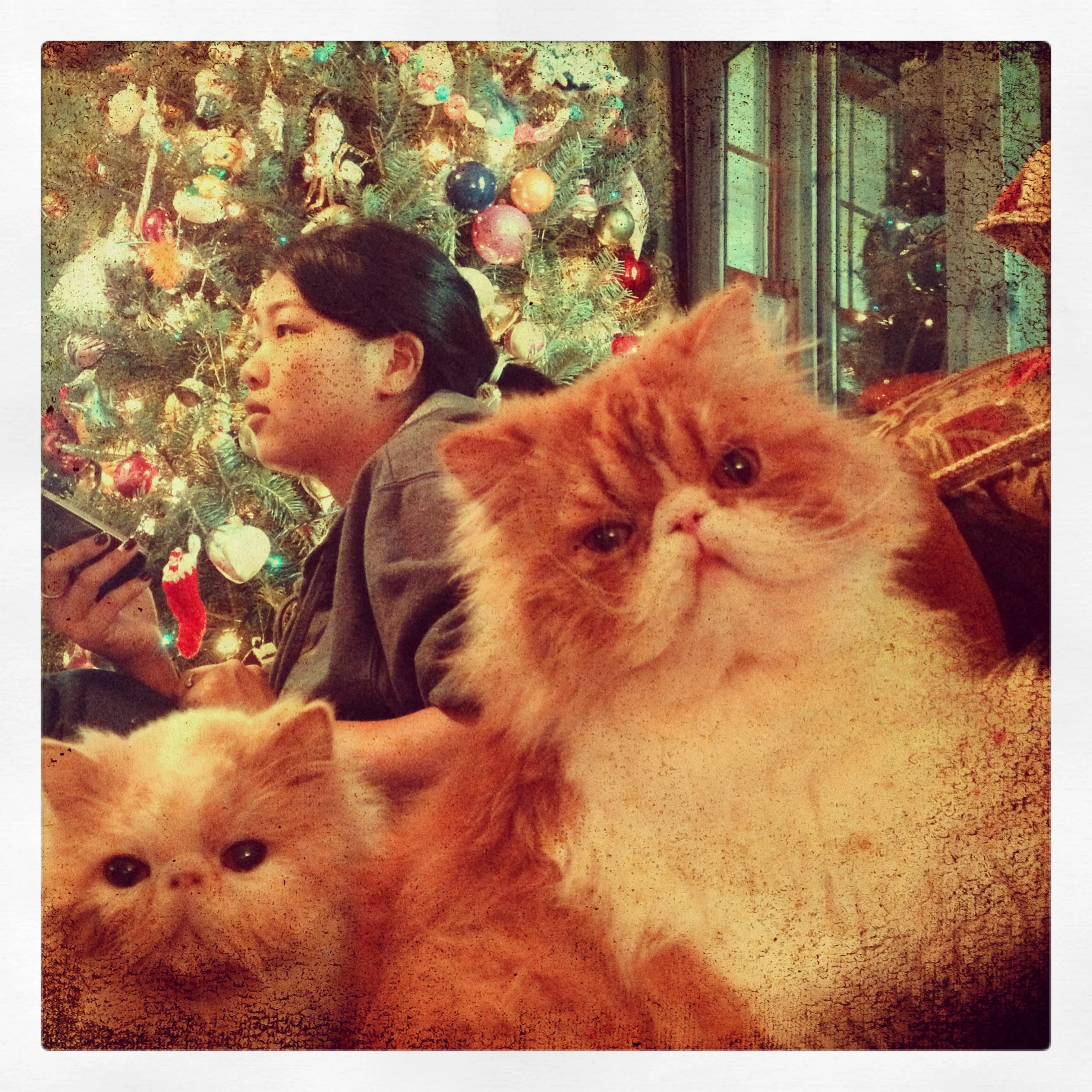 121-Blink-Whose Holiday.JPG