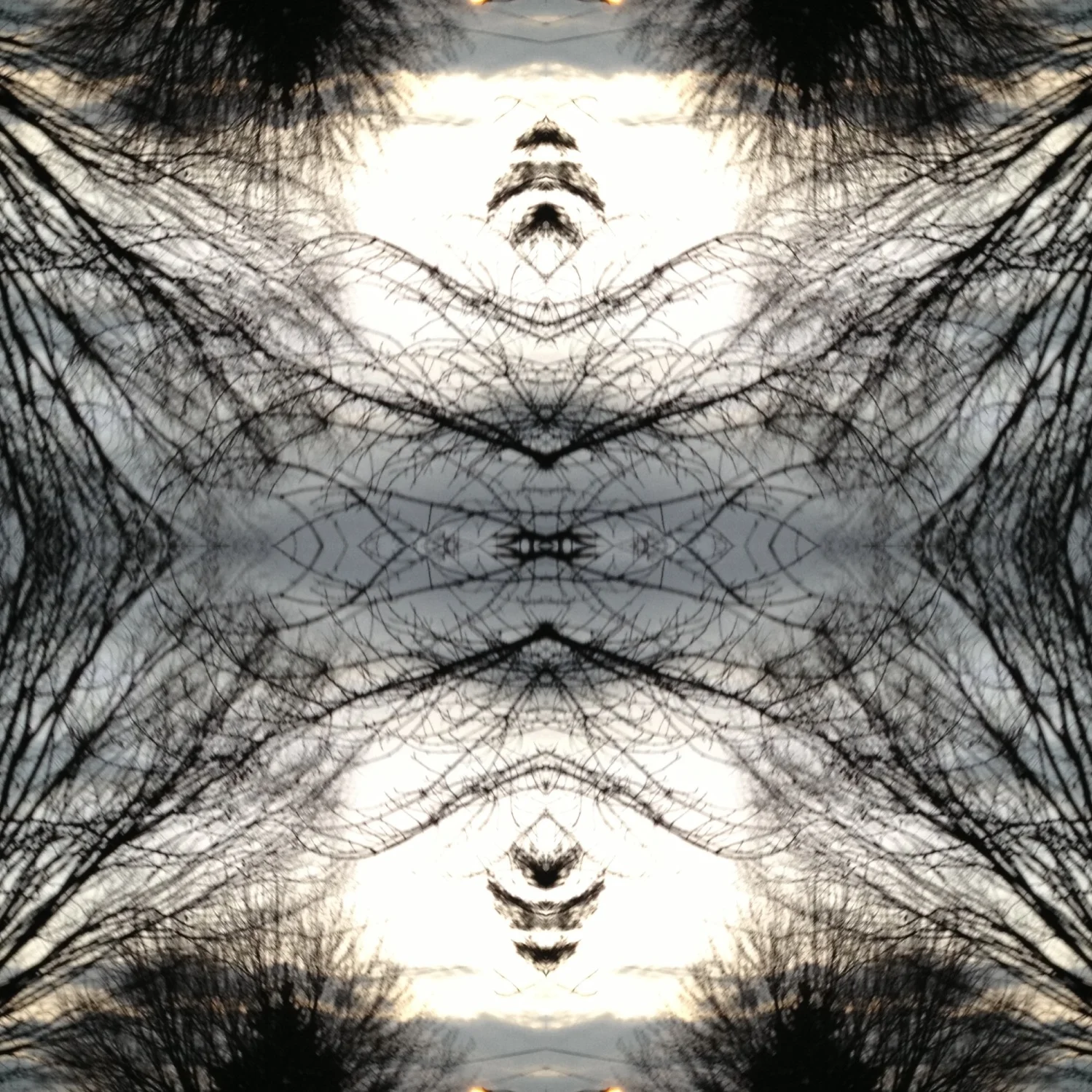 122-Blink-O Christmas Tree.JPG