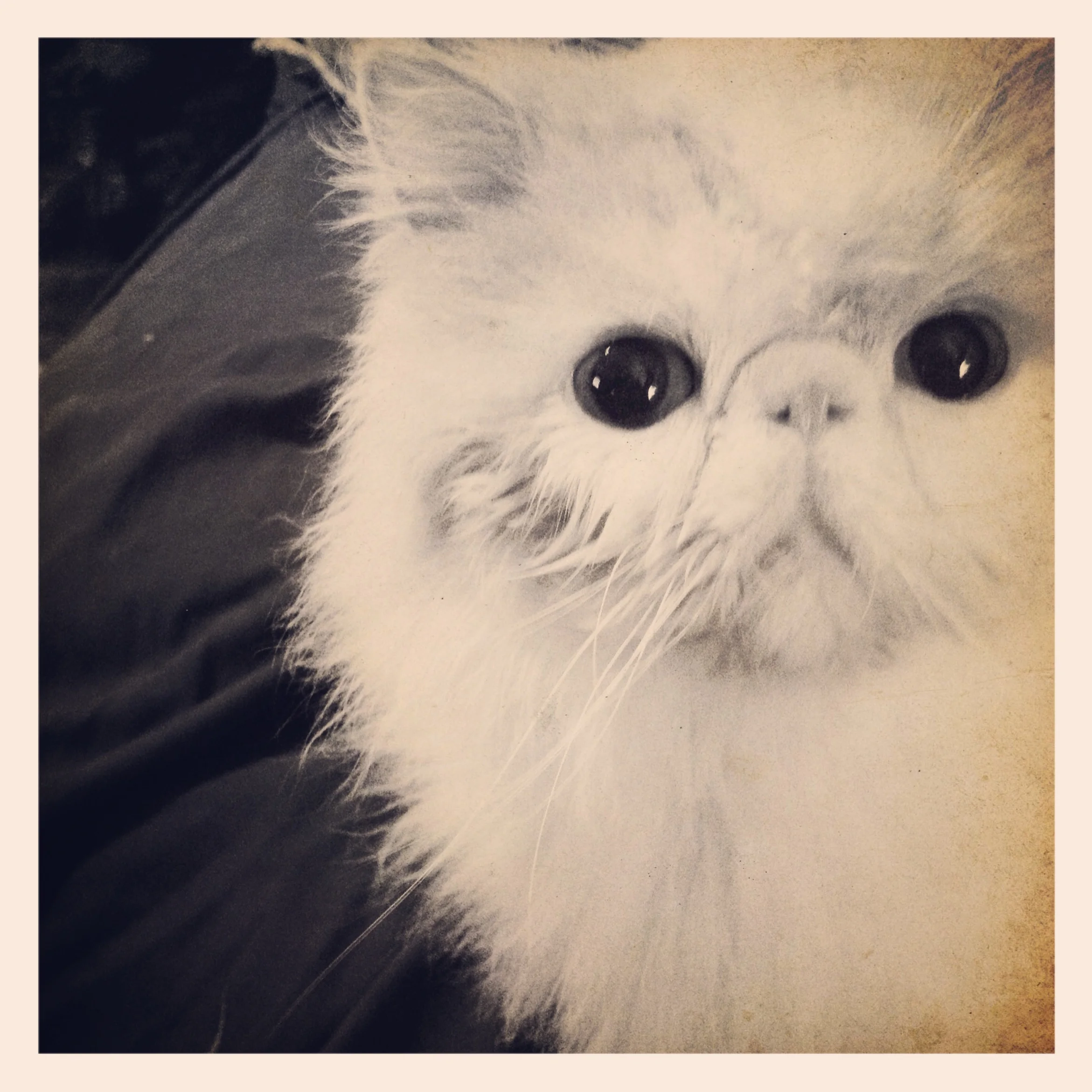 129-Blink-Watching Obama.JPG