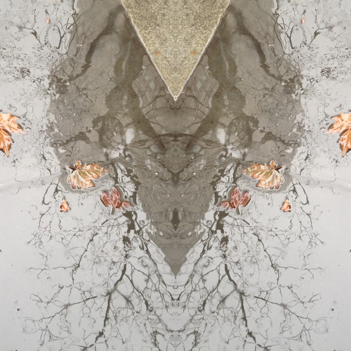 151-Blink-Rain in the Street.JPG