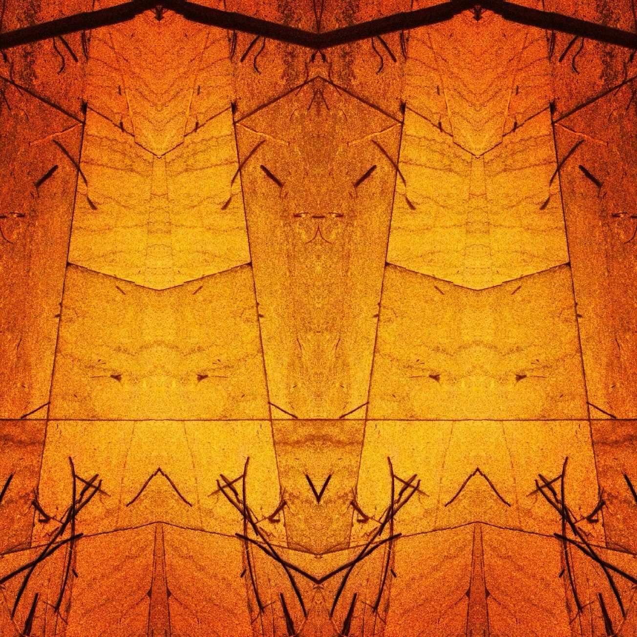 Rise