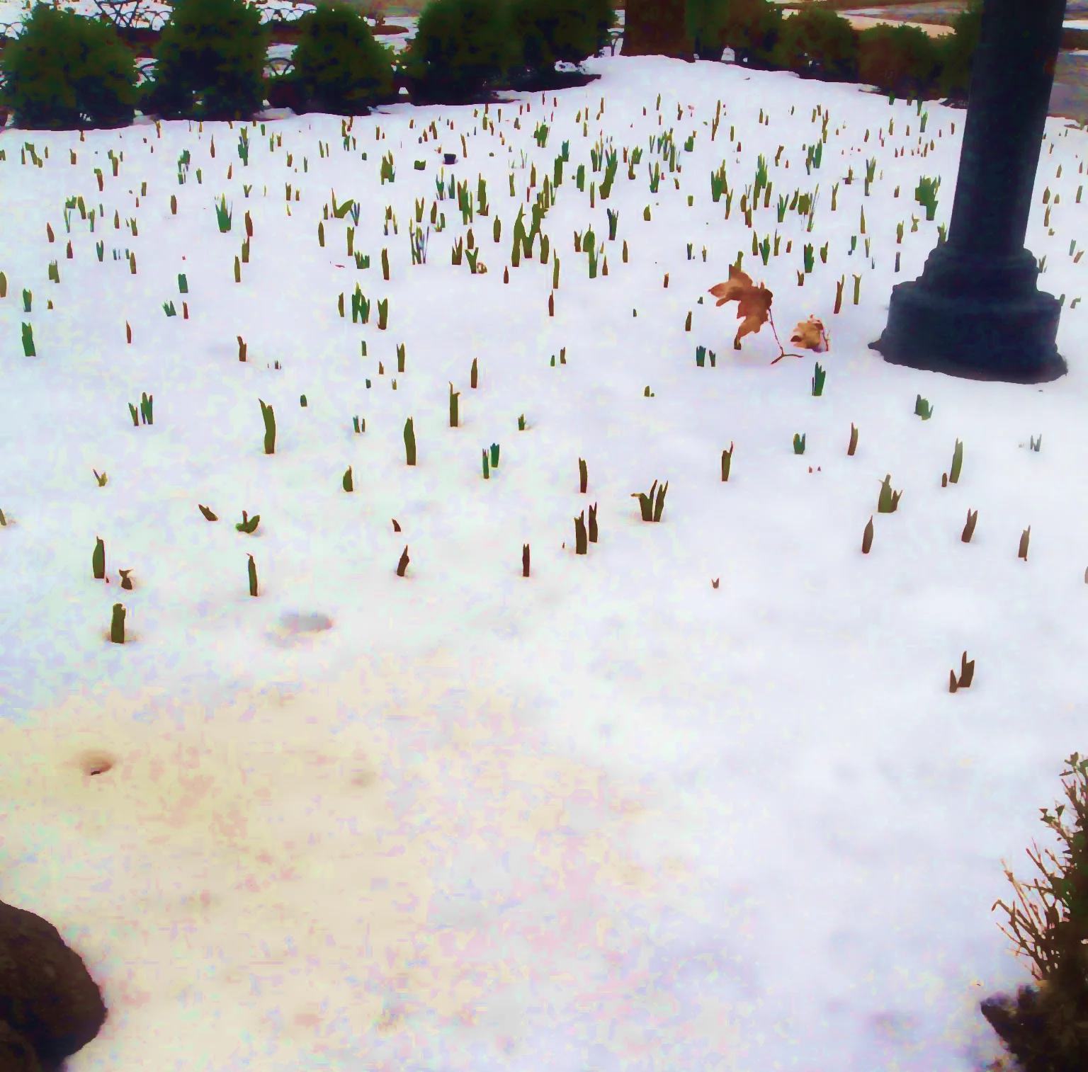 342-Blink-The Remembered.jpg