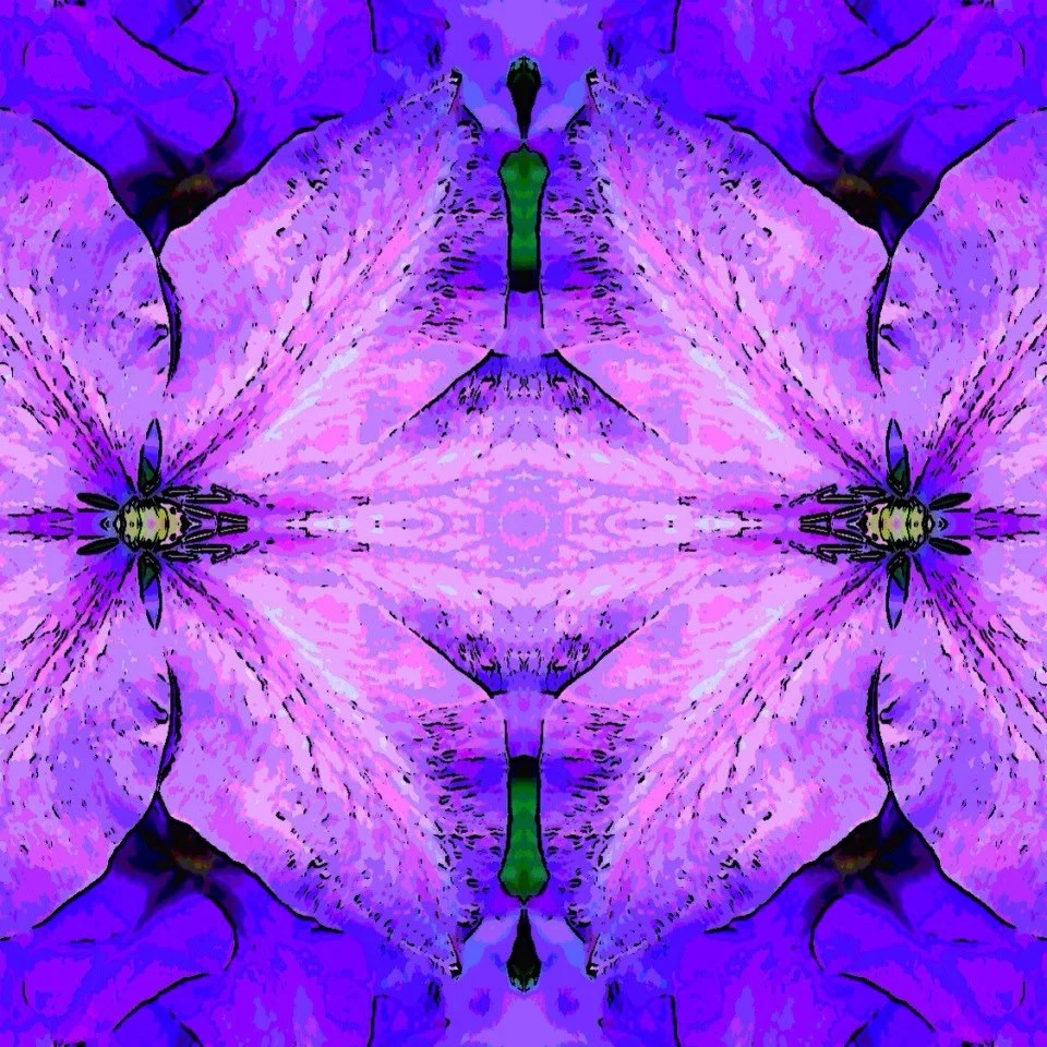 400-Blink-Twin R-vers.jpg