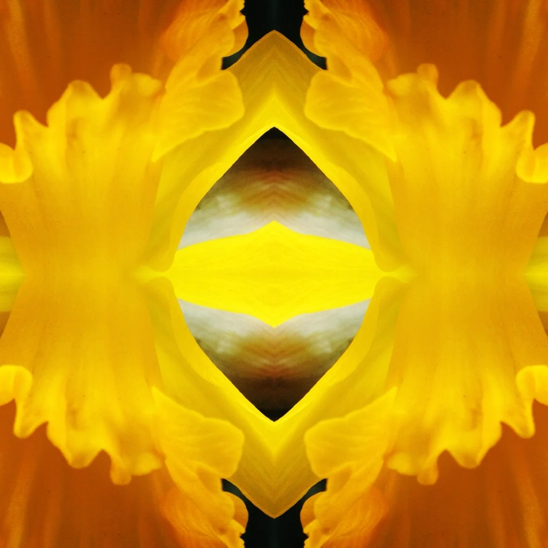 408-Blink-Heavens Gate-.JPG