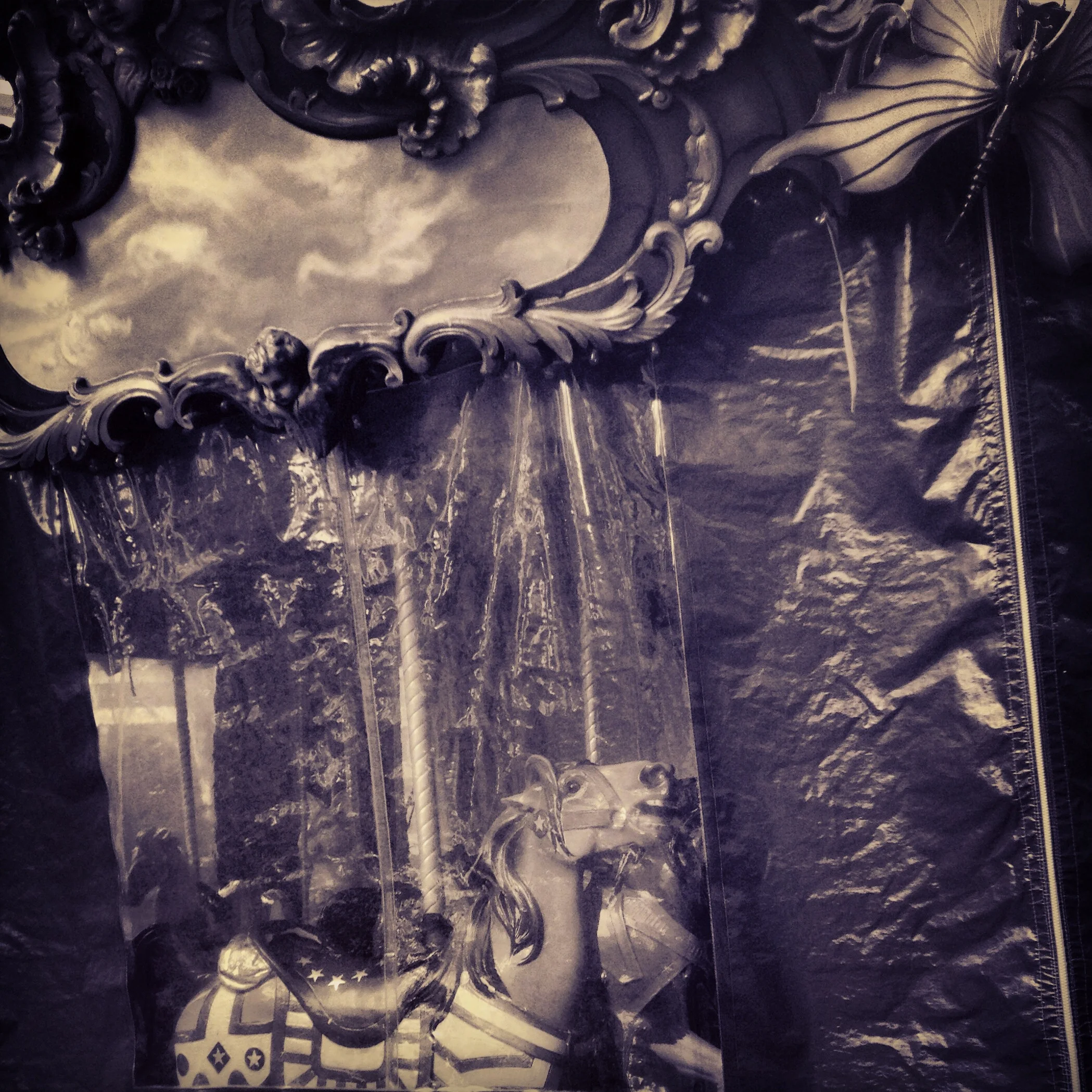 406-Blink-Horse in the Rain.JPG