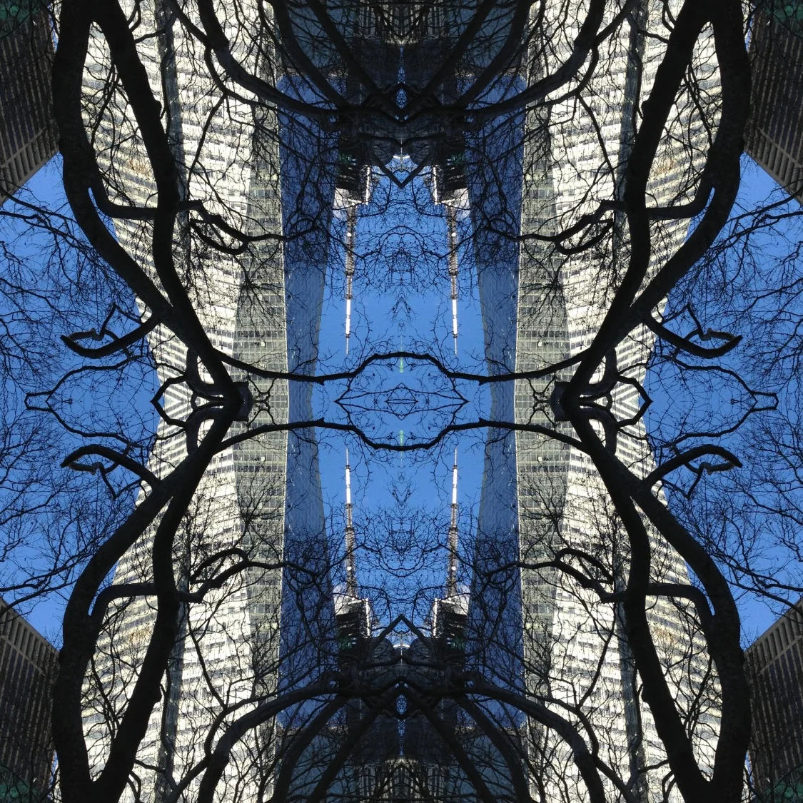 411-Blink-Gate to Glory.JPG