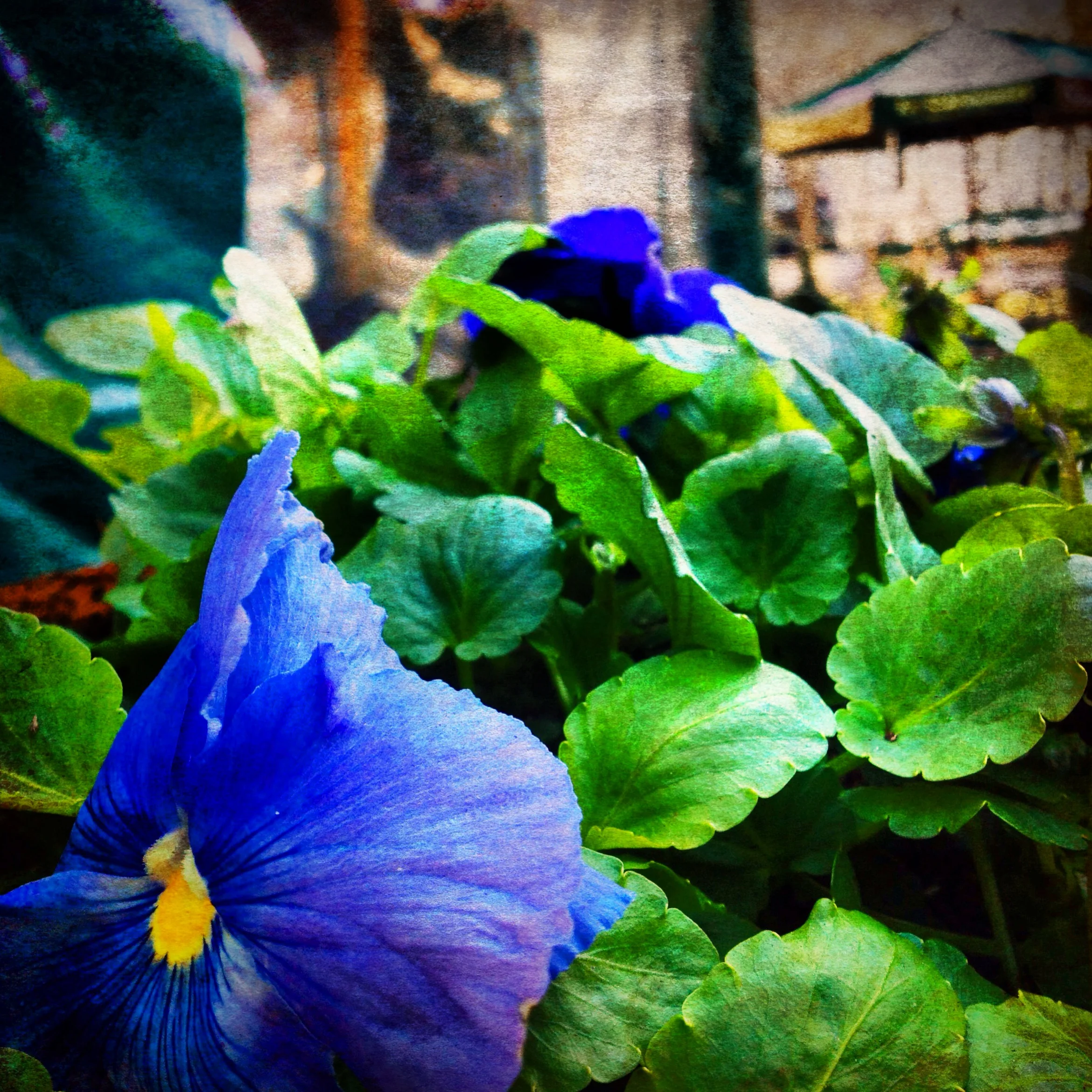 412-Blink-Another view of Spring.JPG