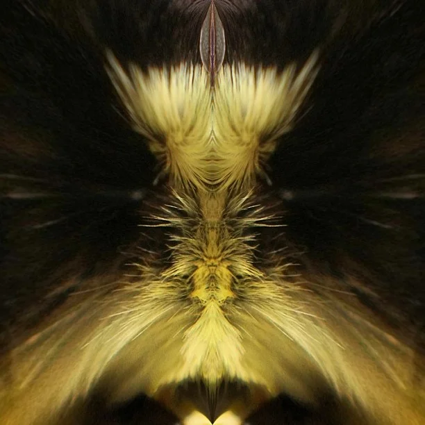 422-Blink-nameless.jpg