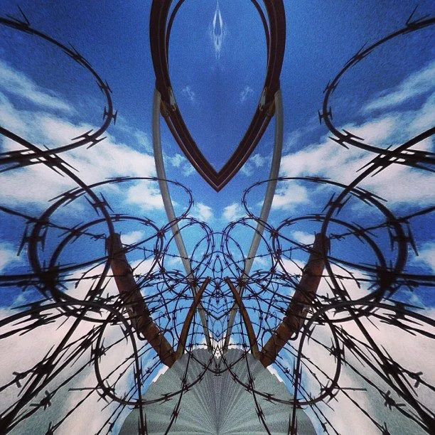 431-Blink-bird in wire.jpg