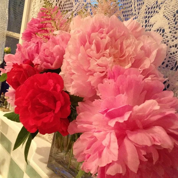 443-Blink-window fancy3.jpg