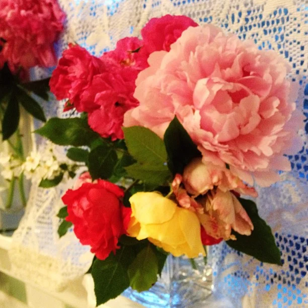 444-Blink-window fancy4.jpg