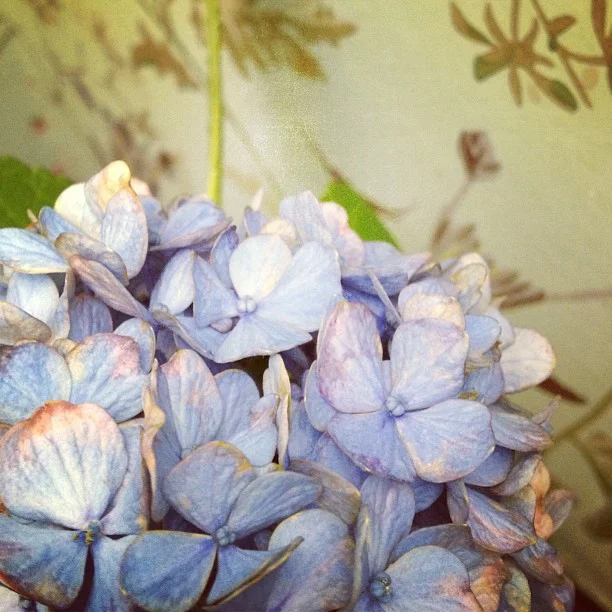 461-Blink-fancy old fashioned.jpg