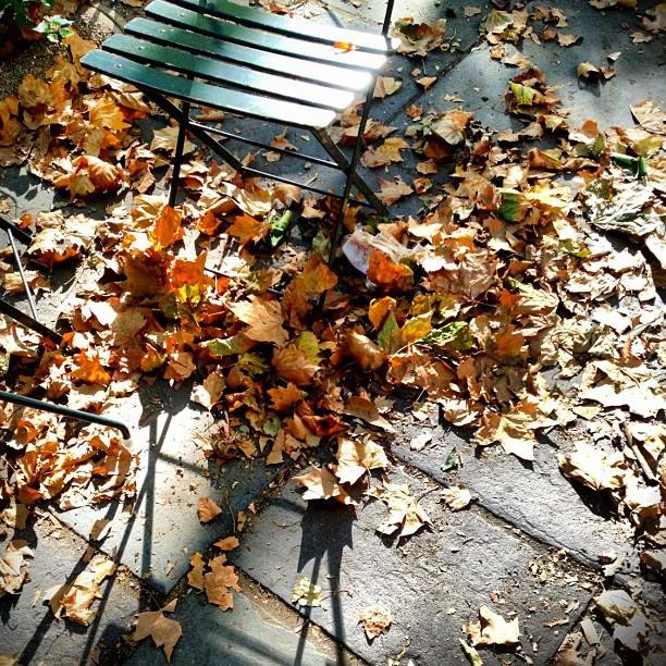 473-Blink-hint of September.jpg