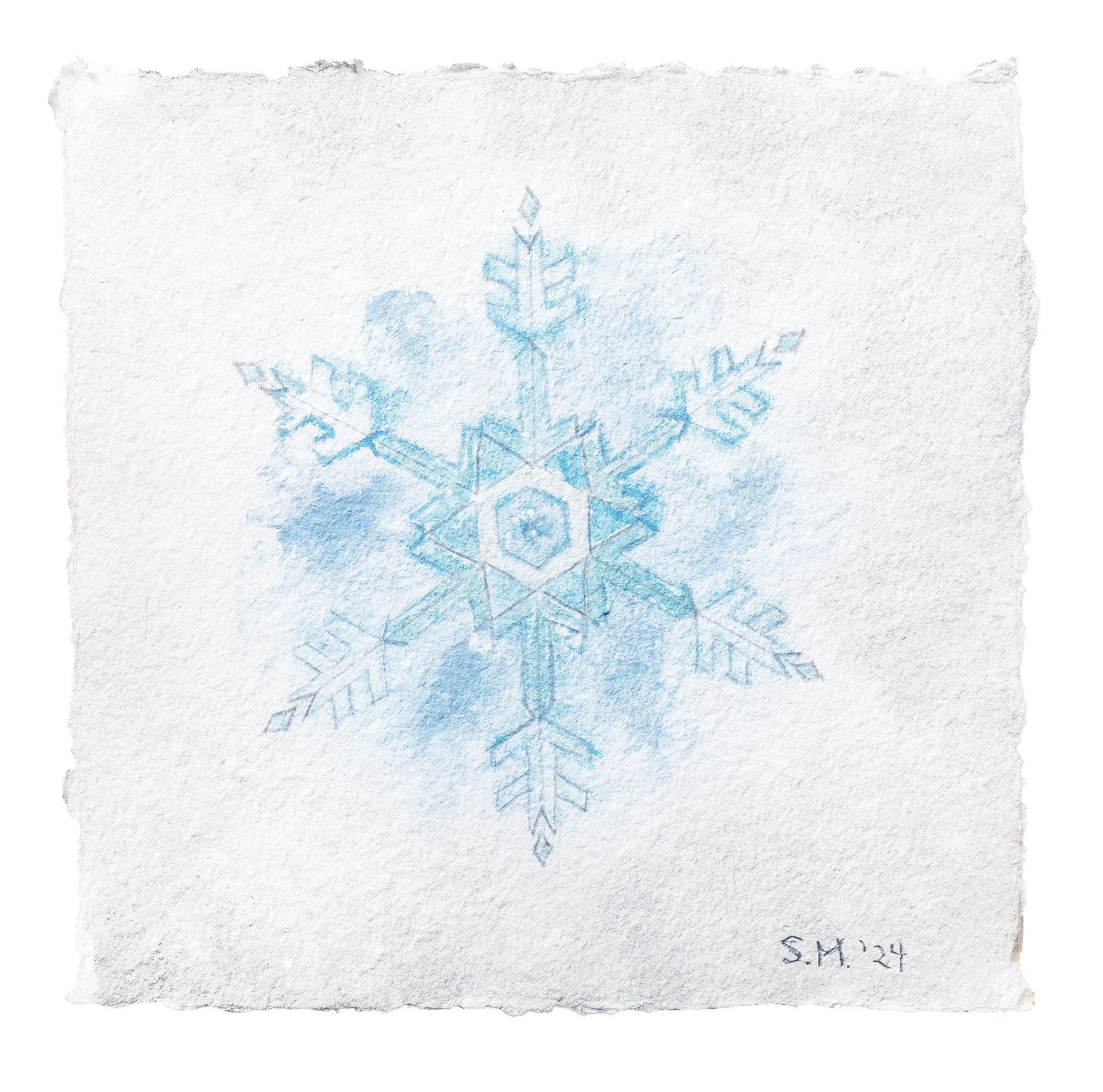Snowflake 20