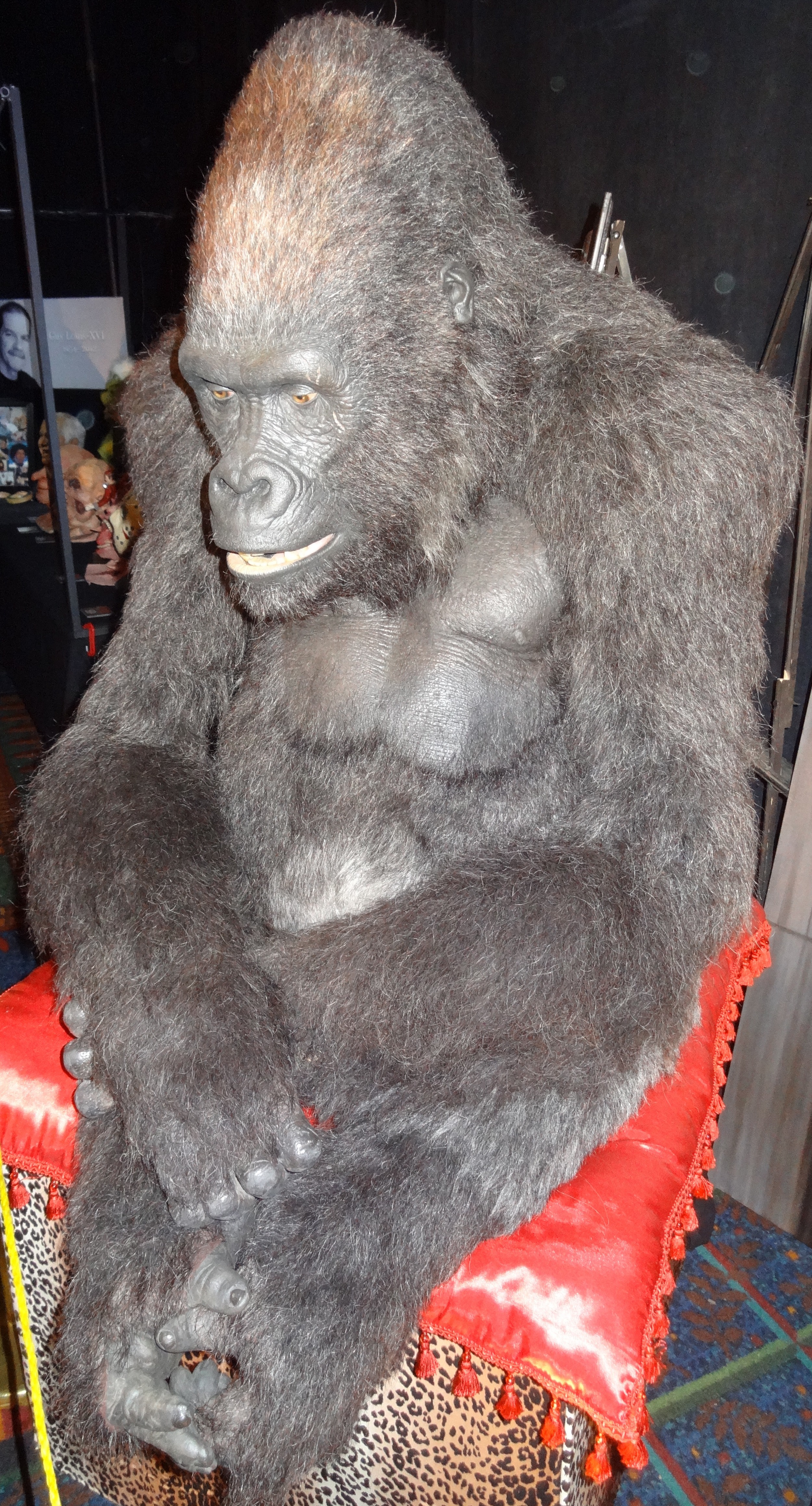 DSC00544.JPG
