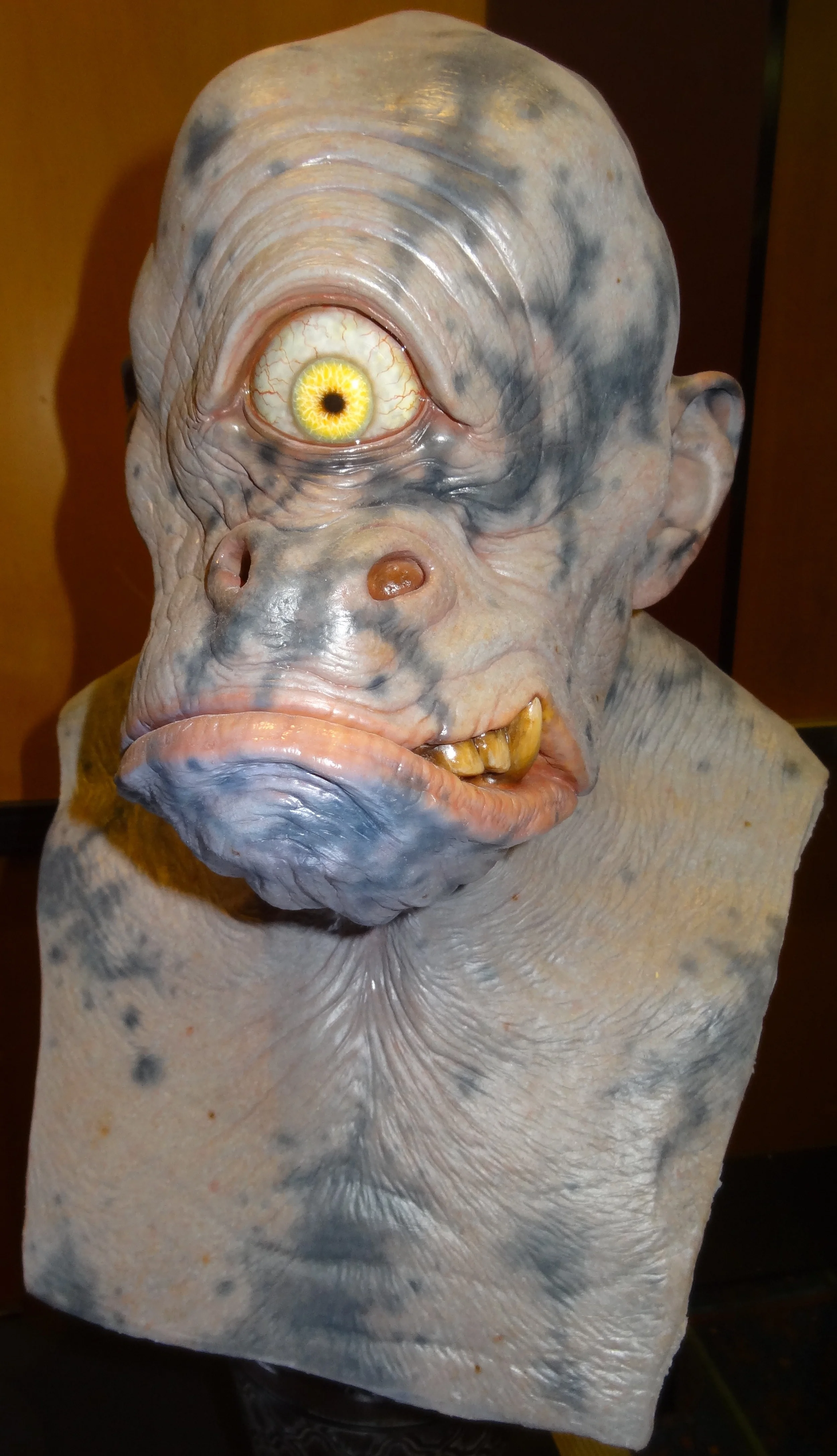 DSC00491.JPG