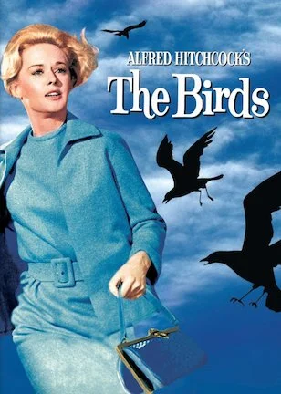 The Birds.jpg